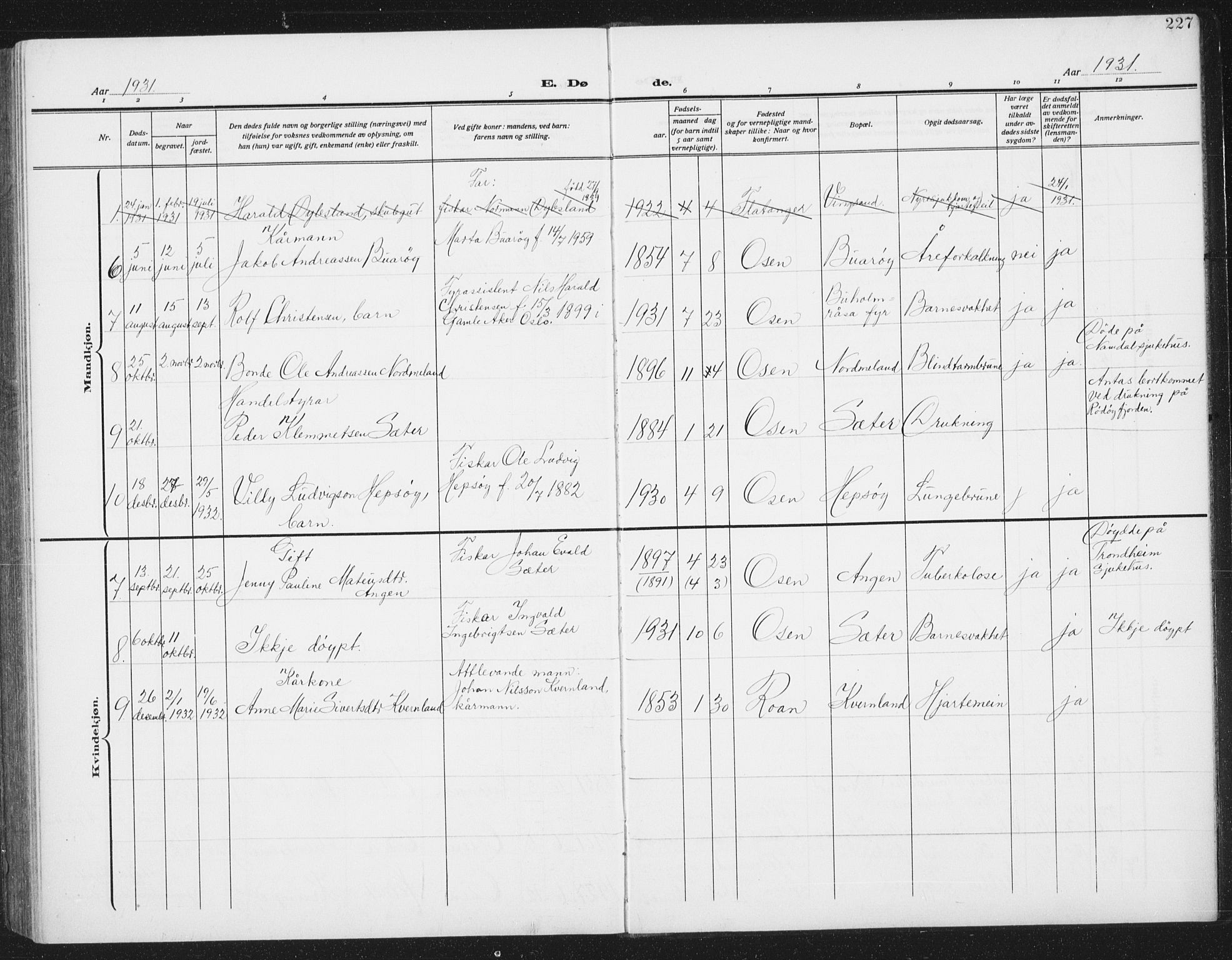 Ministerialprotokoller, klokkerbøker og fødselsregistre - Sør-Trøndelag, SAT/A-1456/658/L0727: Parish register (copy) no. 658C03, 1909-1935, p. 227