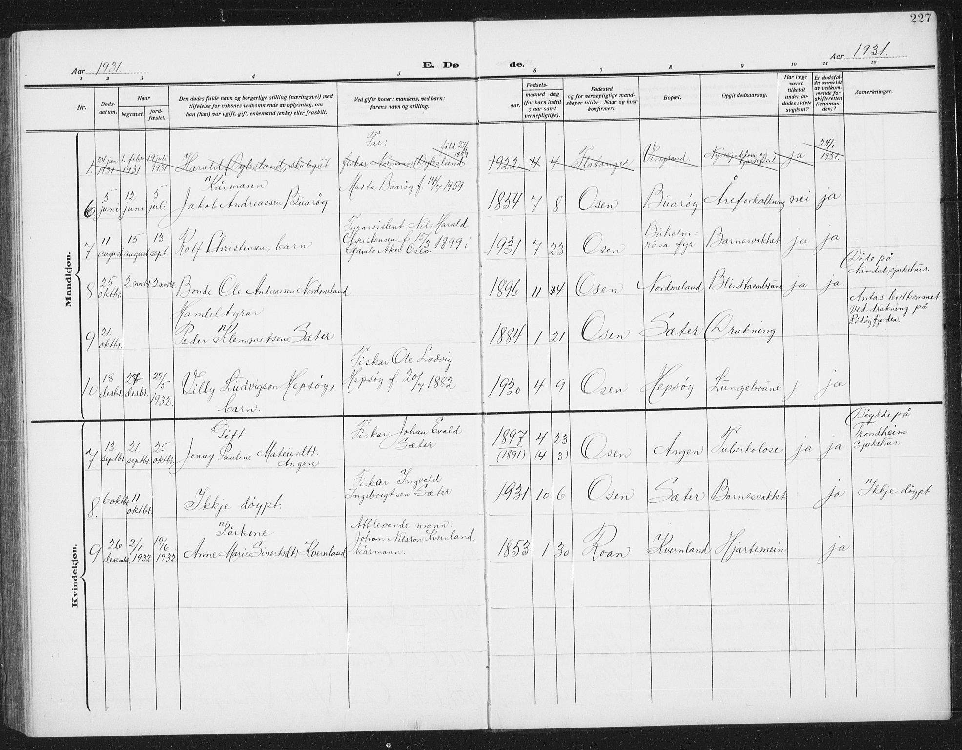 Ministerialprotokoller, klokkerbøker og fødselsregistre - Sør-Trøndelag, AV/SAT-A-1456/658/L0727: Parish register (copy) no. 658C03, 1909-1935, p. 227