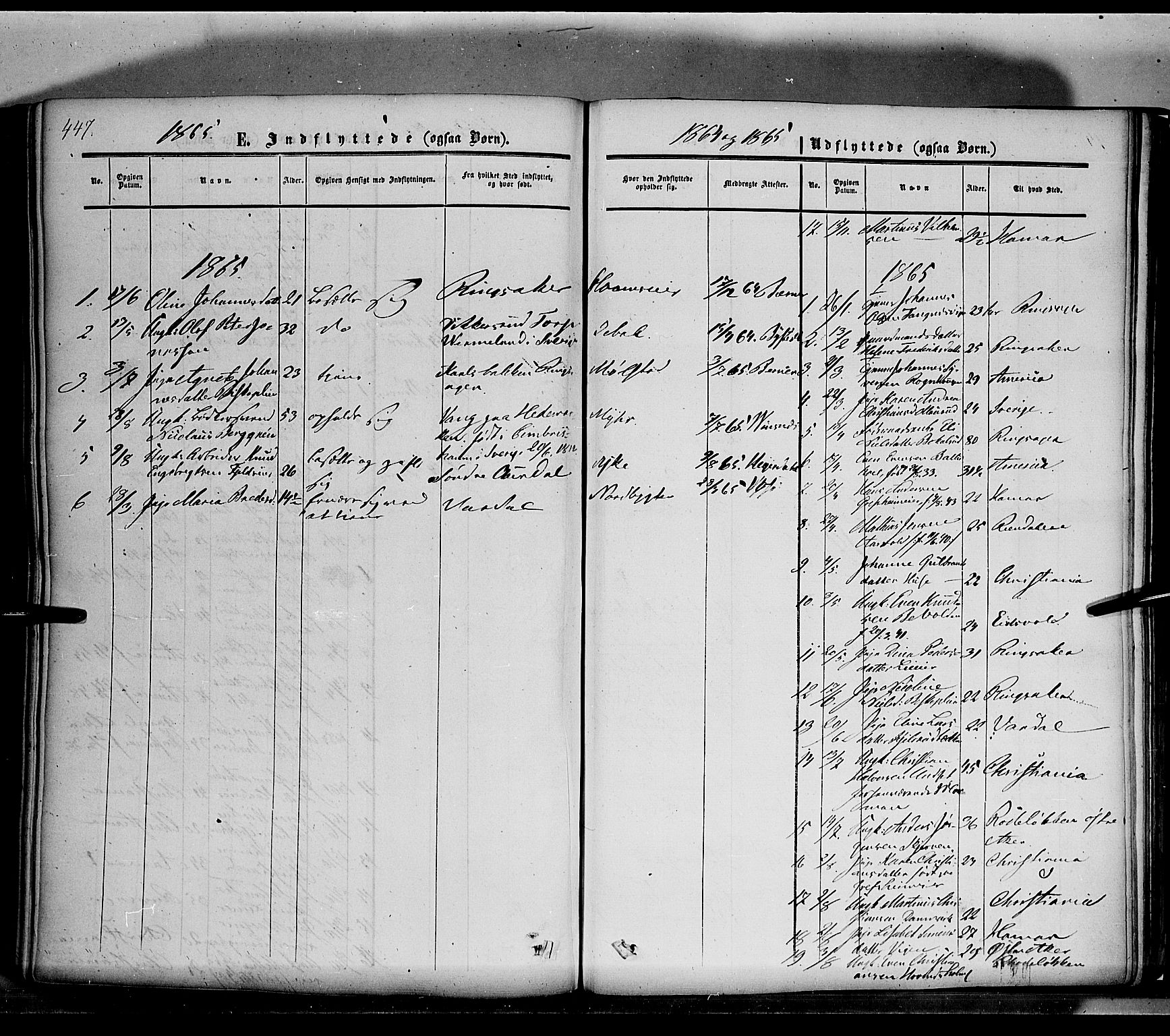 Nes prestekontor, Hedmark, SAH/PREST-020/K/Ka/L0004: Parish register (official) no. 4, 1852-1886, p. 447