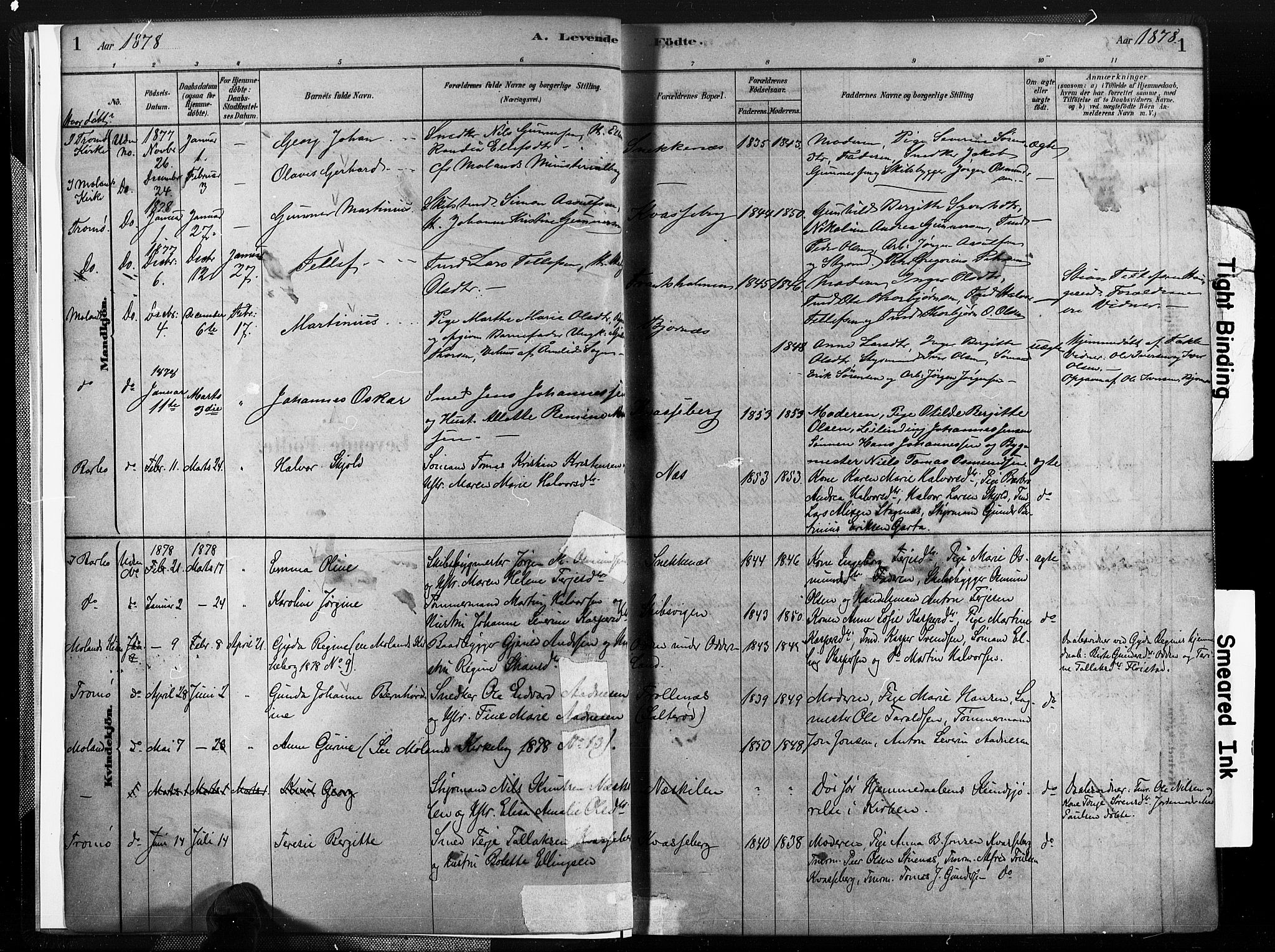Austre Moland sokneprestkontor, SAK/1111-0001/F/Fa/Fab/L0001: Parish register (official) no. A 1, 1878-1898, p. 1