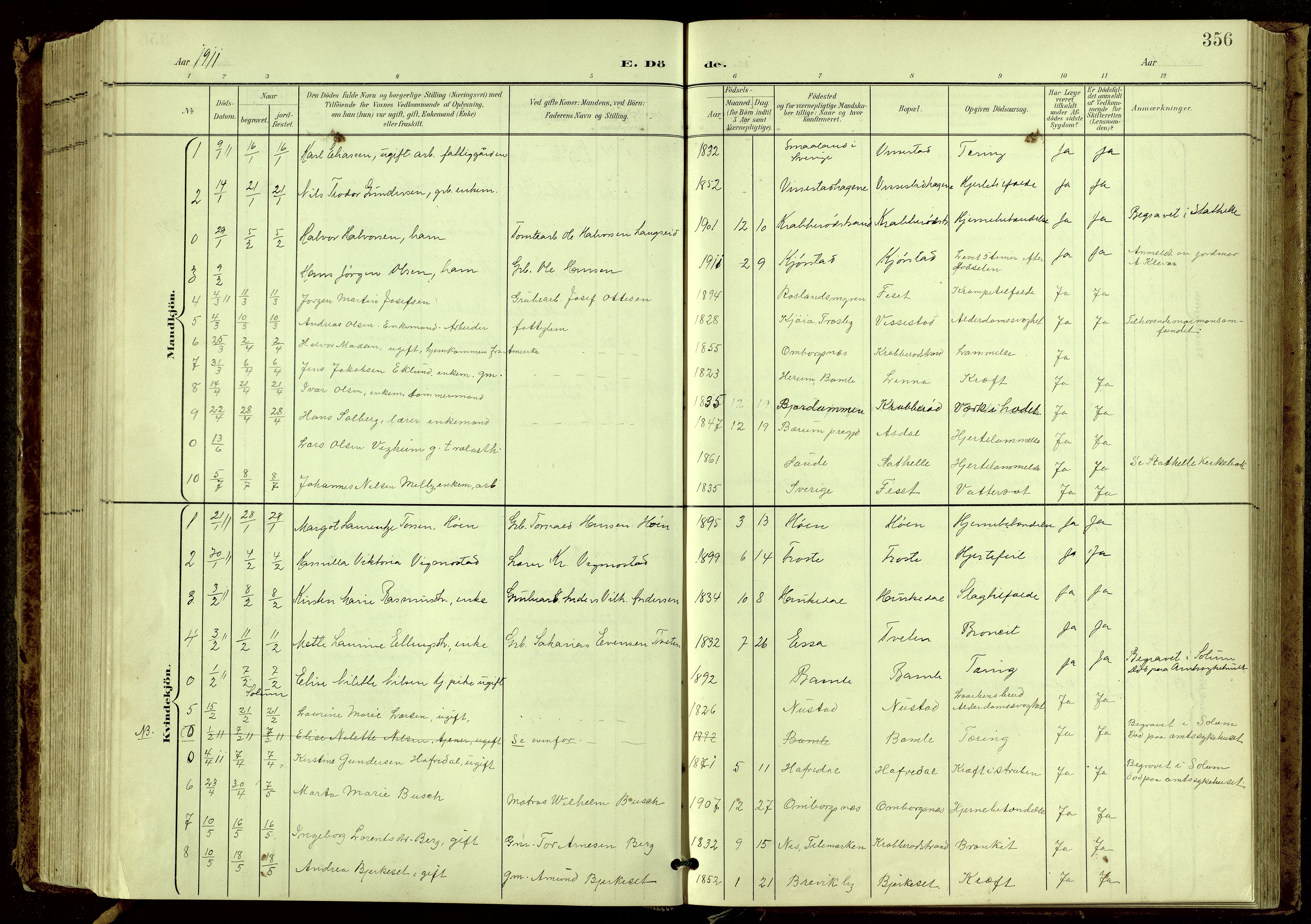 Bamble kirkebøker, SAKO/A-253/G/Ga/L0010: Parish register (copy) no. I 10, 1901-1919, p. 356
