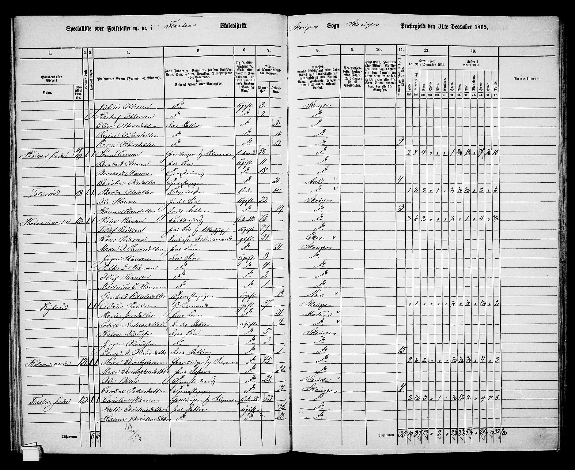 RA, 1865 census for Skoger, 1865, p. 79