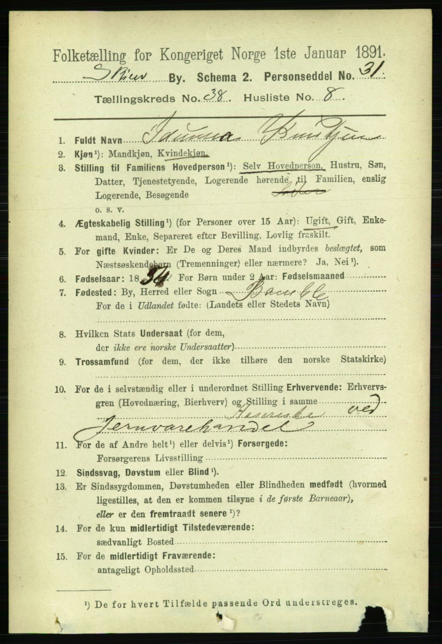 RA, 1891 census for 0806 Skien, 1891, p. 8209