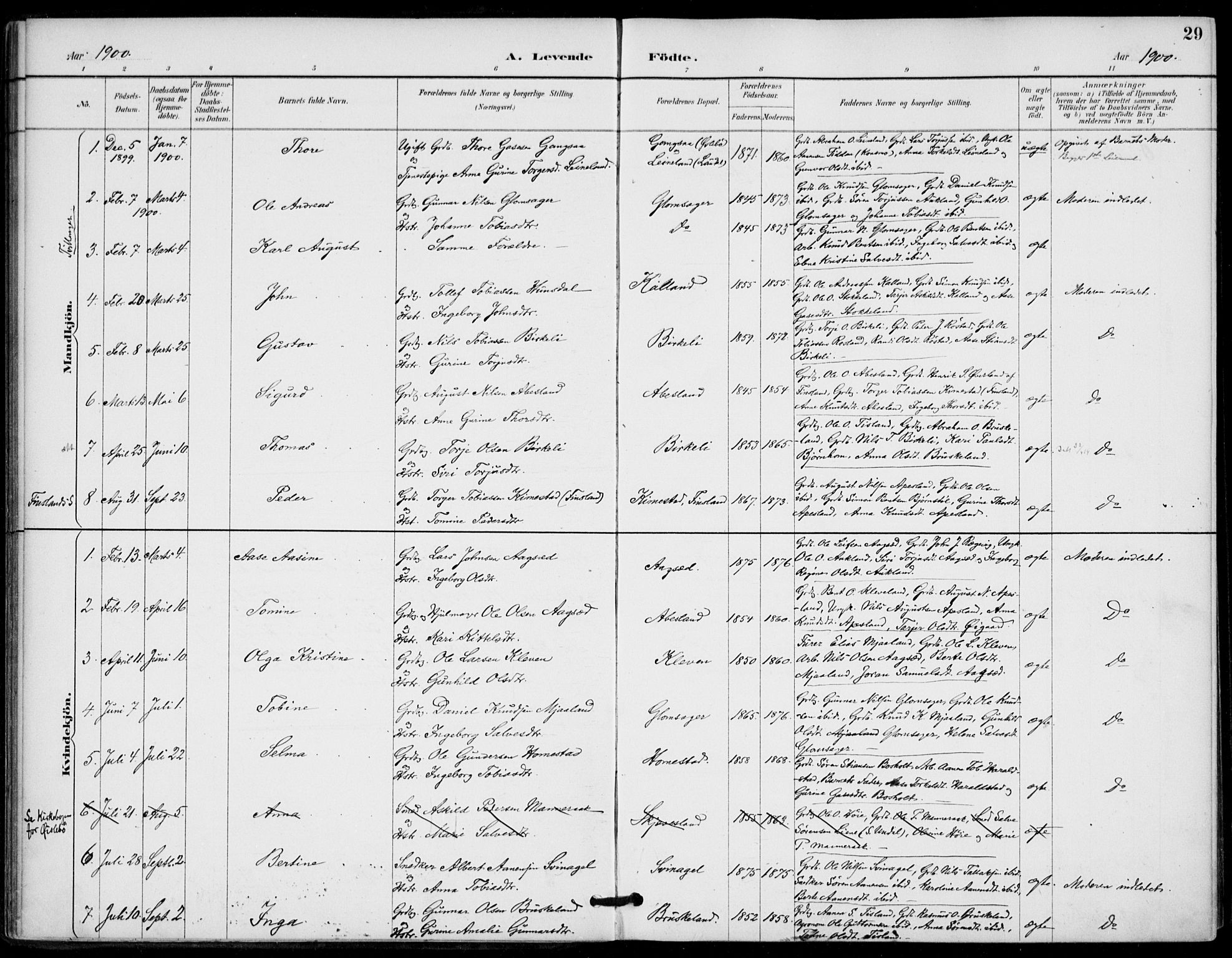 Holum sokneprestkontor, AV/SAK-1111-0022/F/Fa/Fab/L0007: Parish register (official) no. A 7, 1887-1912, p. 29