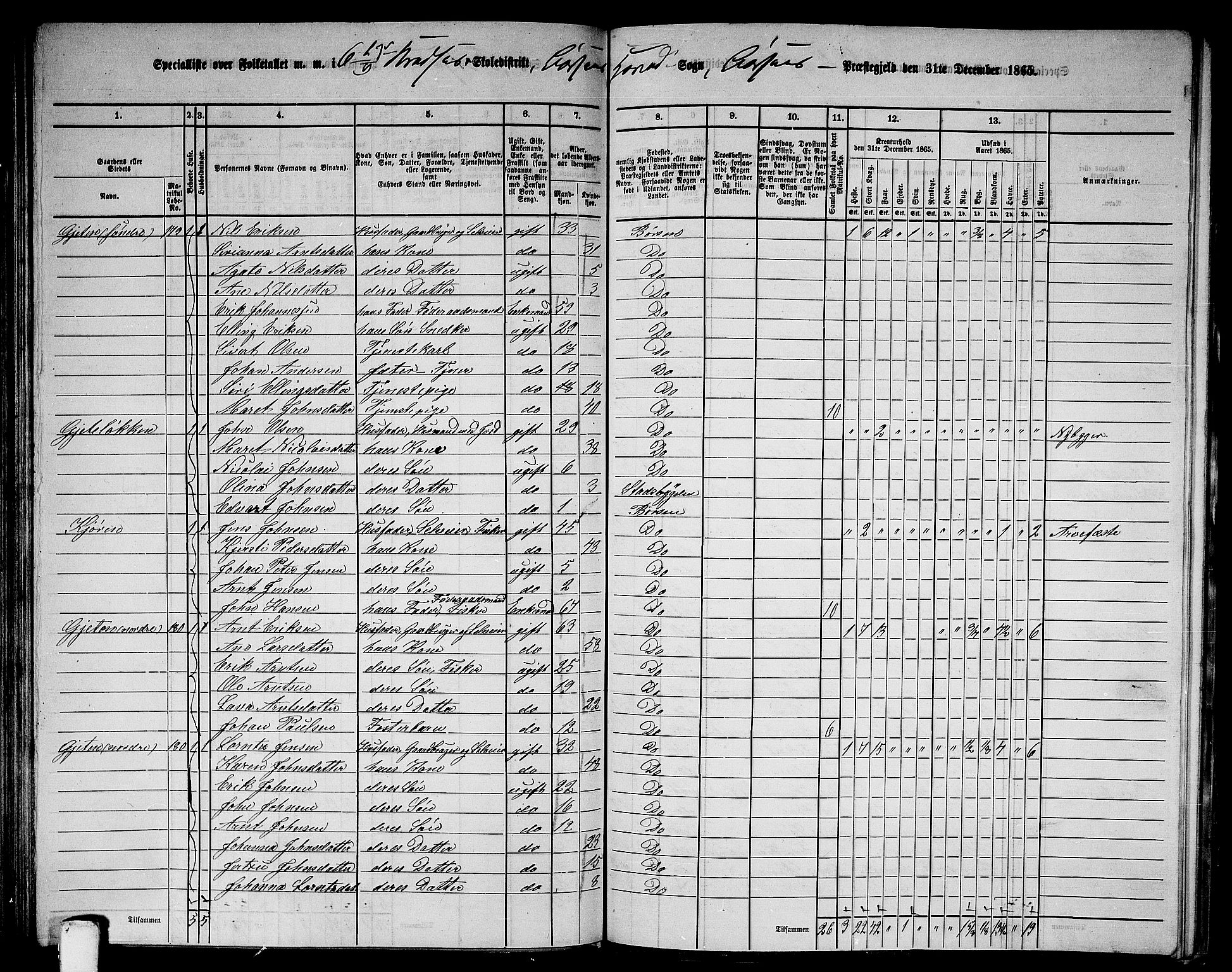 RA, 1865 census for Børsa, 1865, p. 99