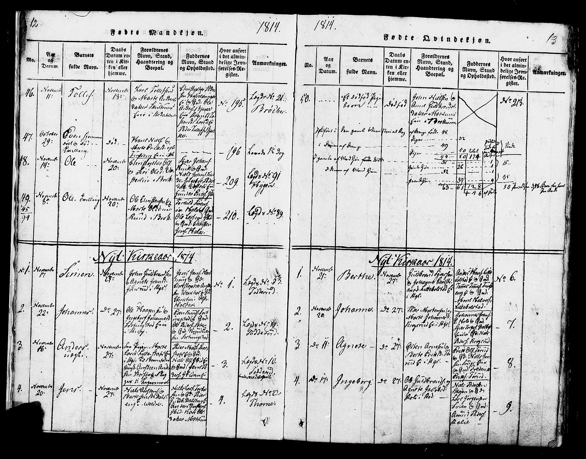 Ringsaker prestekontor, AV/SAH-PREST-014/K/Ka/L0005: Parish register (official) no. 5, 1814-1826, p. 12-13