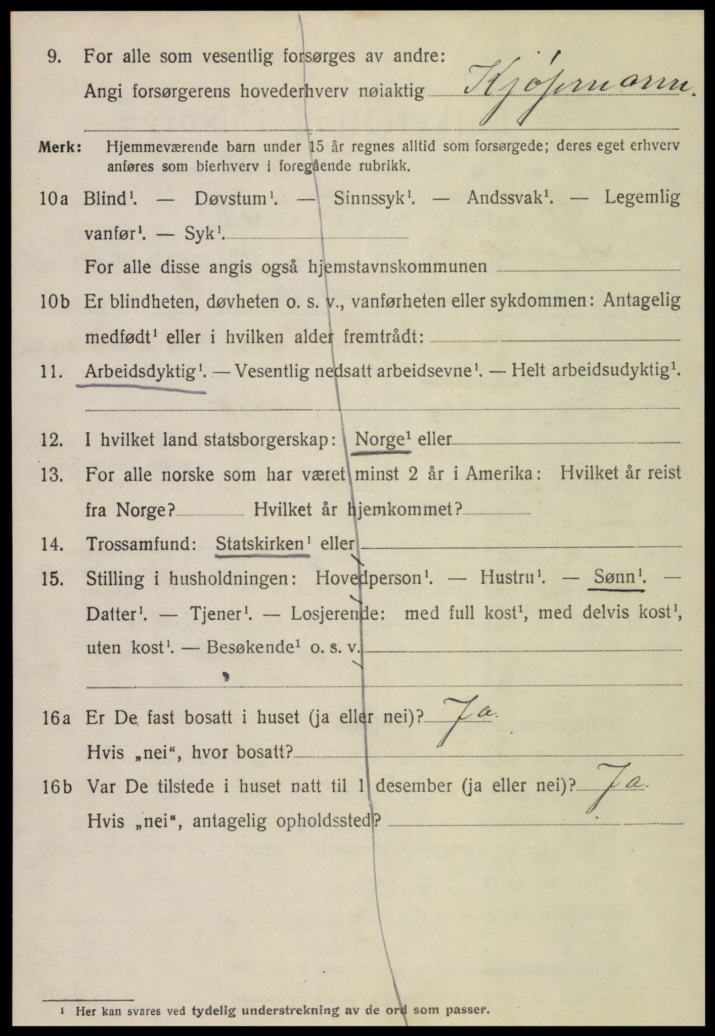 SAT, 1920 census for Steinkjer, 1920, p. 4227