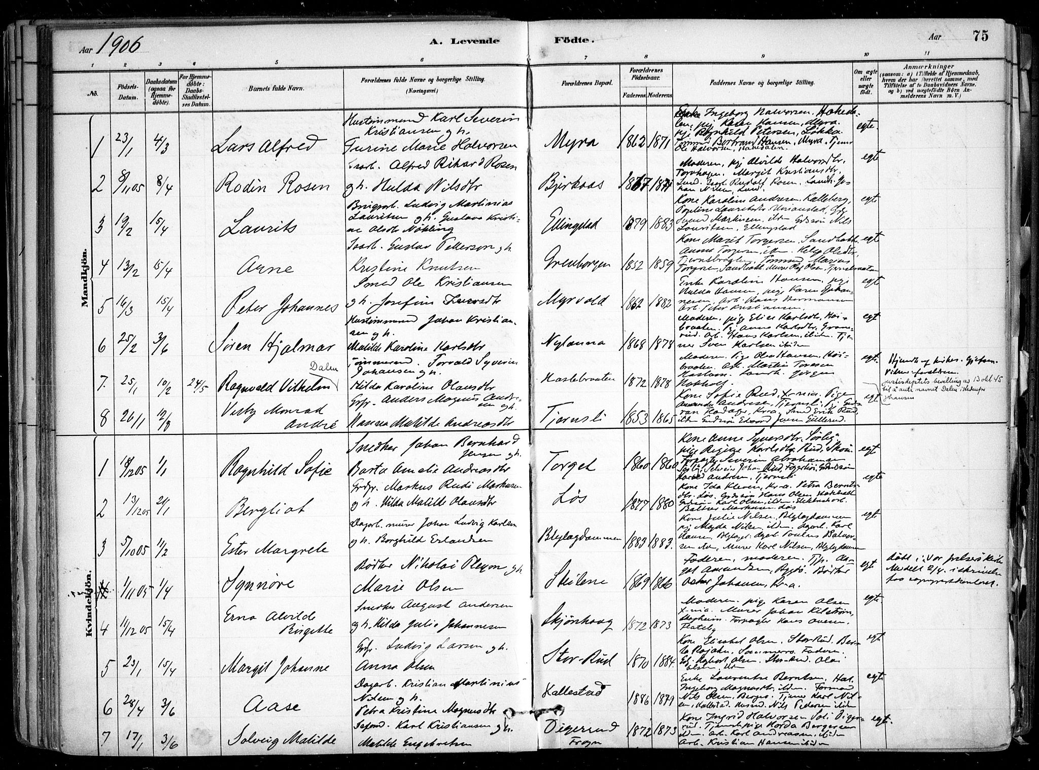 Nesodden prestekontor Kirkebøker, SAO/A-10013/F/Fa/L0009: Parish register (official) no. I 9, 1880-1915, p. 75