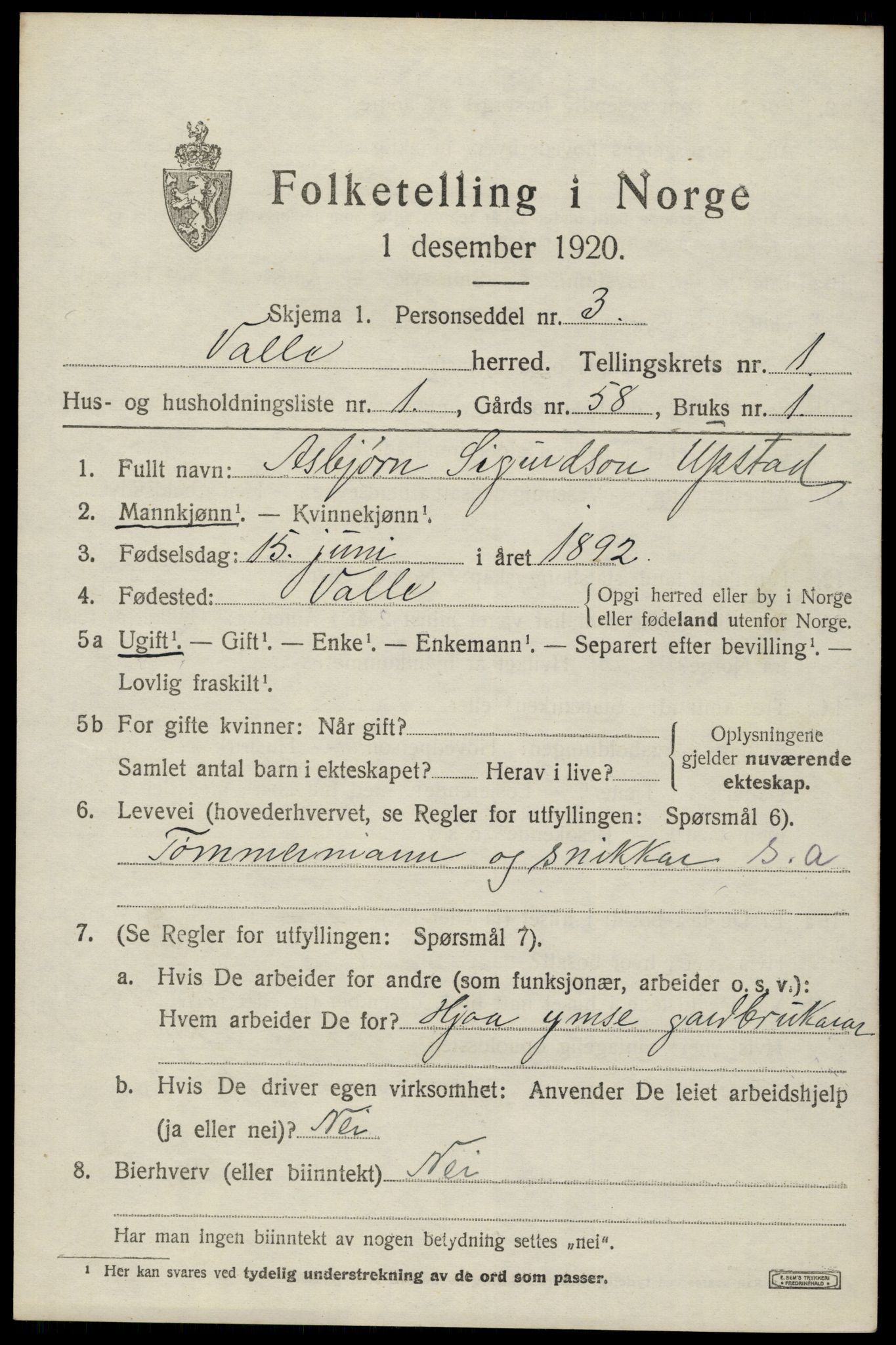 SAK, 1920 census for Valle, 1920, p. 441