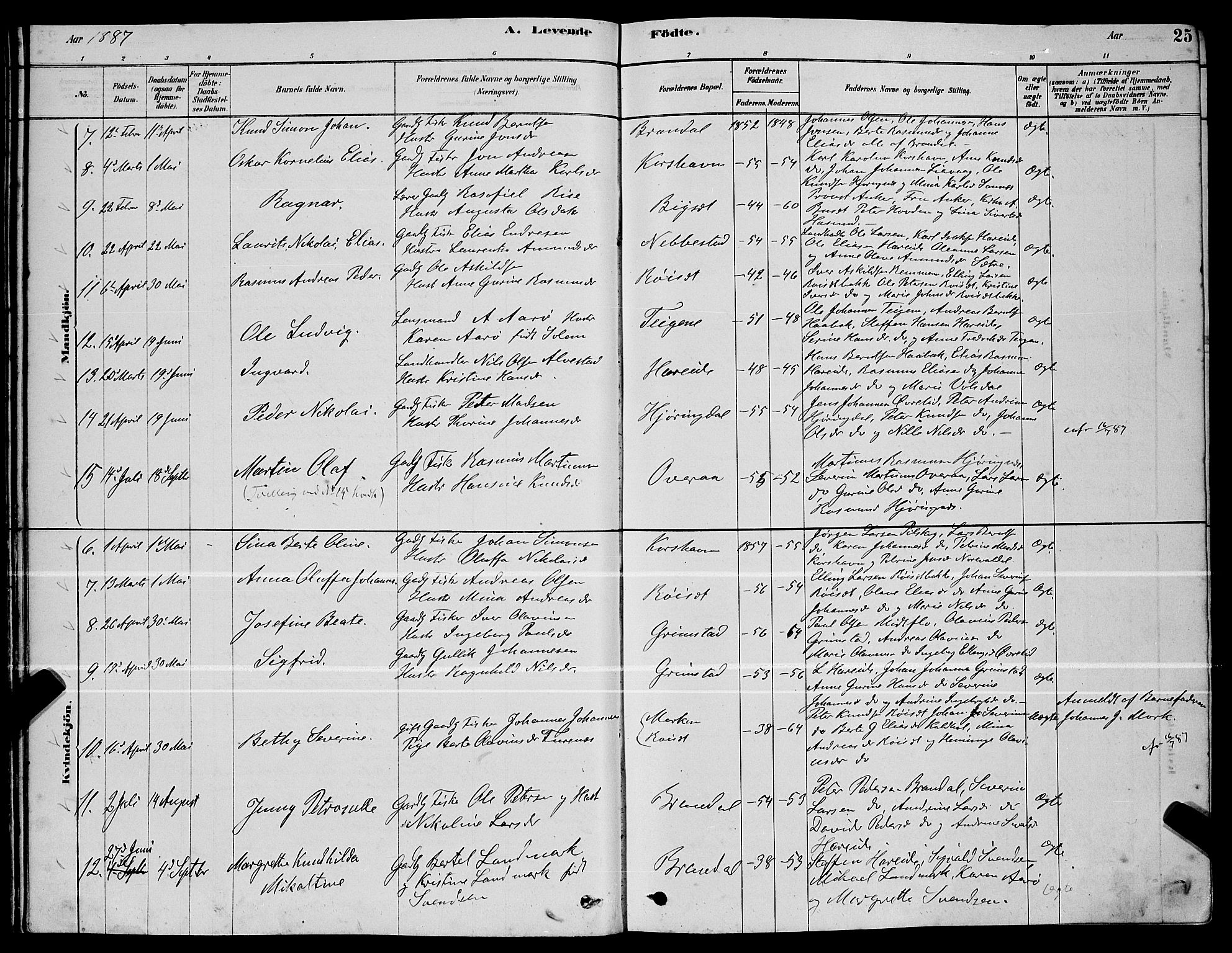 Ministerialprotokoller, klokkerbøker og fødselsregistre - Møre og Romsdal, AV/SAT-A-1454/510/L0125: Parish register (copy) no. 510C02, 1878-1900, p. 25