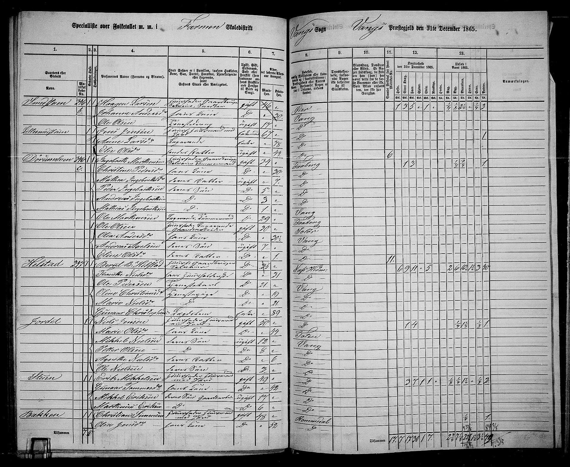 RA, 1865 census for Vang/Vang og Furnes, 1865, p. 311