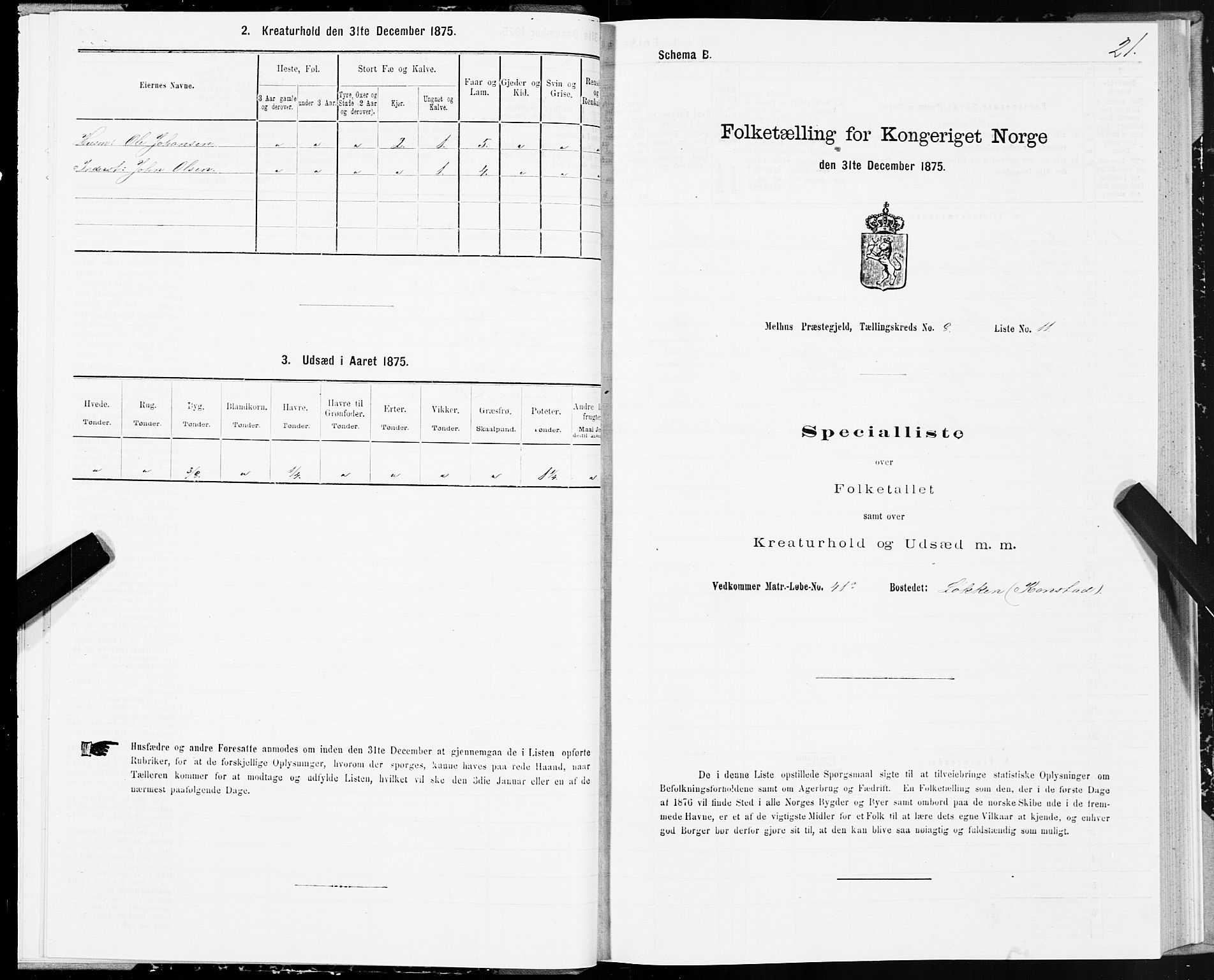 SAT, 1875 census for 1653P Melhus, 1875, p. 7021