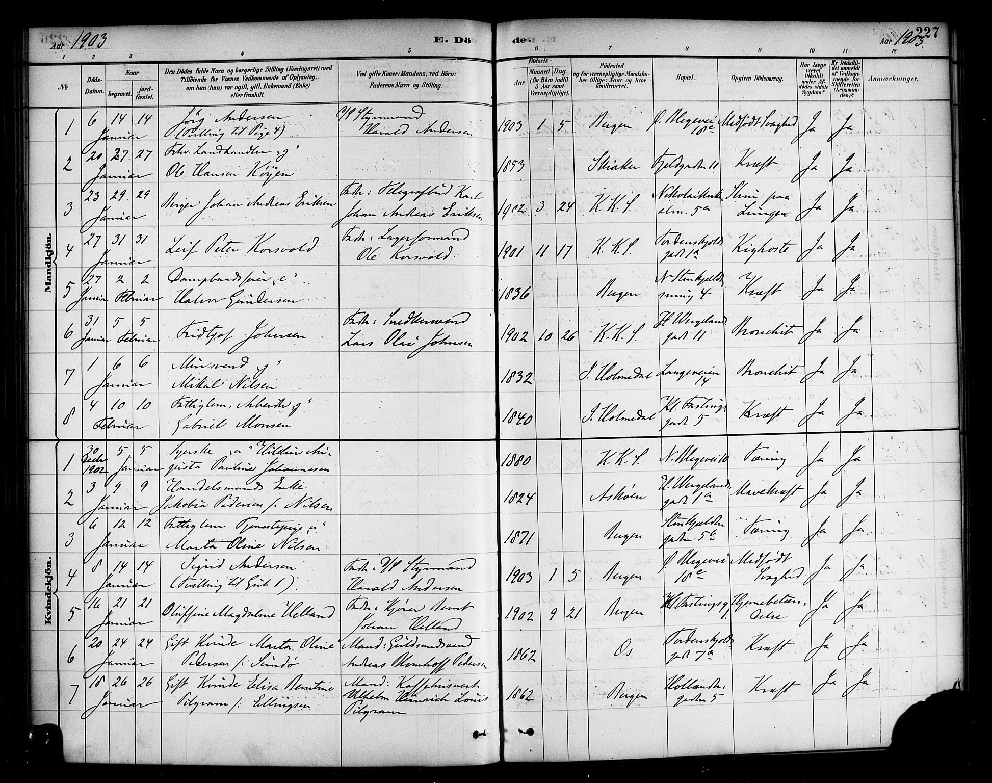 Korskirken sokneprestembete, SAB/A-76101/H/Haa/L0047: Parish register (official) no. E 5, 1884-1910, p. 227