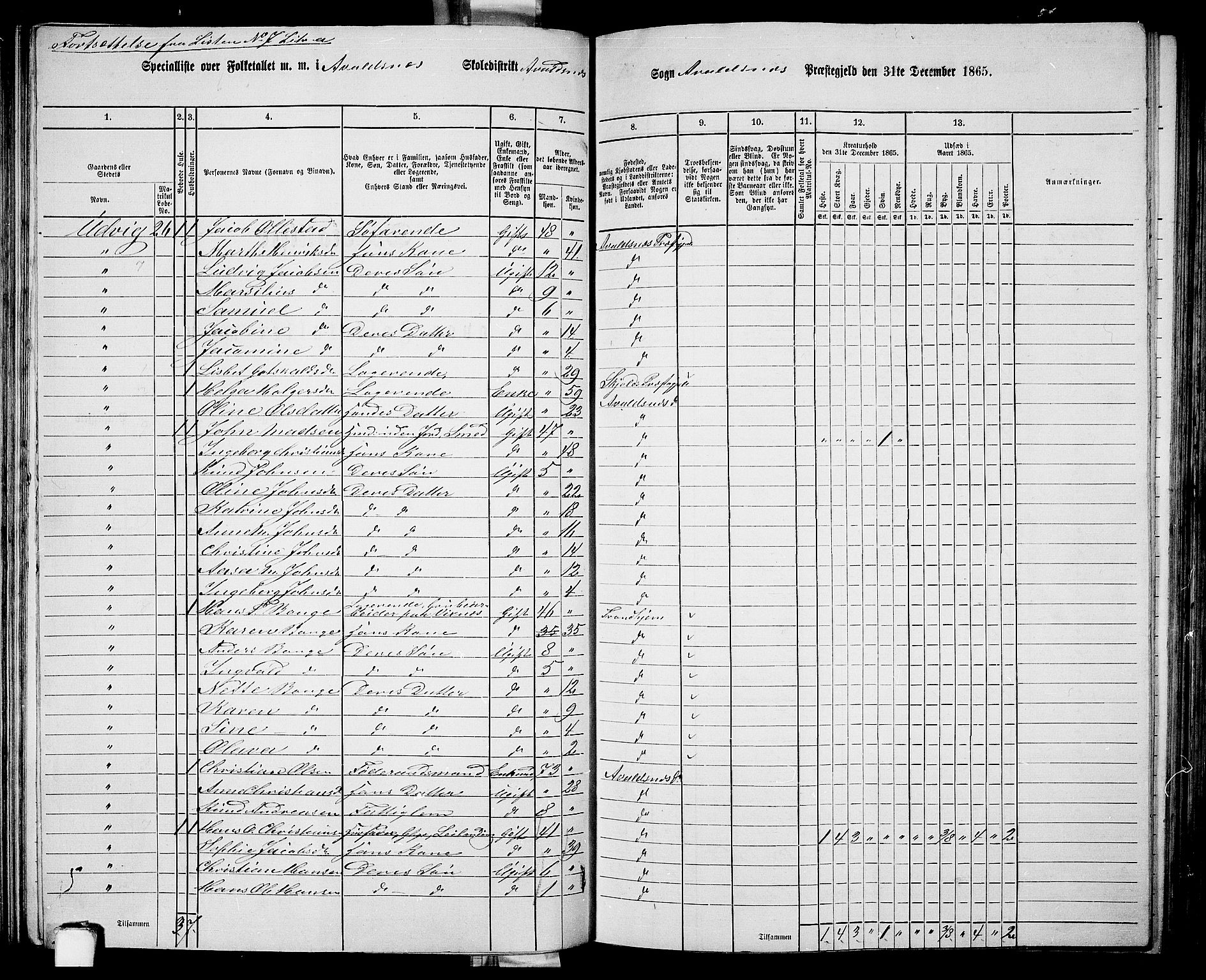 RA, 1865 census for Avaldsnes, 1865, p. 110