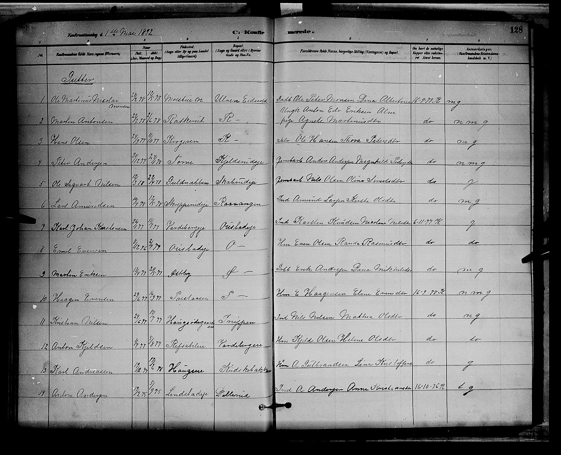 Stange prestekontor, SAH/PREST-002/L/L0008: Parish register (copy) no. 8, 1882-1895, p. 128