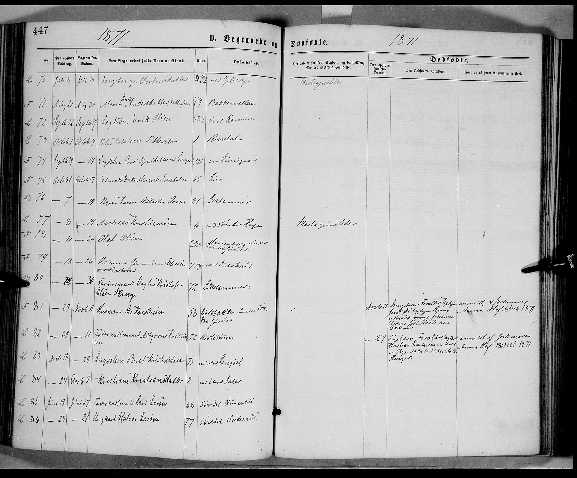 Fåberg prestekontor, AV/SAH-PREST-086/H/Ha/Haa/L0007: Parish register (official) no. 7, 1868-1878, p. 447