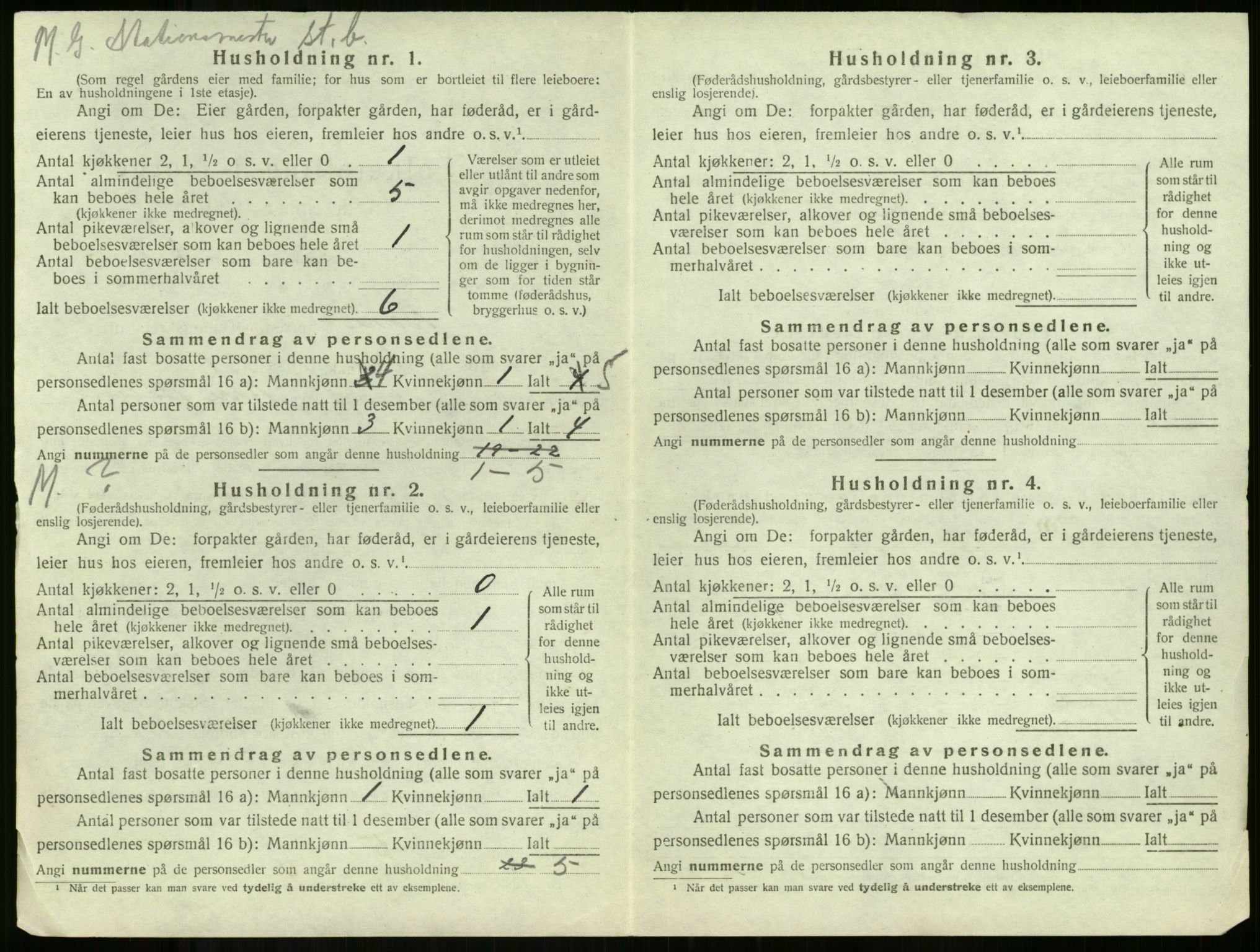 SAKO, 1920 census for Borre, 1920, p. 995