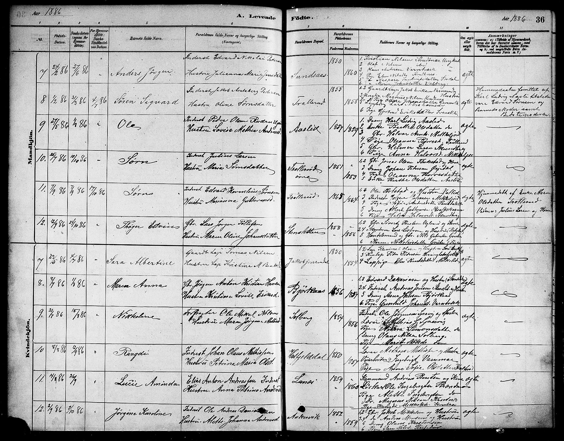 Ministerialprotokoller, klokkerbøker og fødselsregistre - Nordland, SAT/A-1459/823/L0330: Parish register (copy) no. 823C02, 1879-1916, p. 36