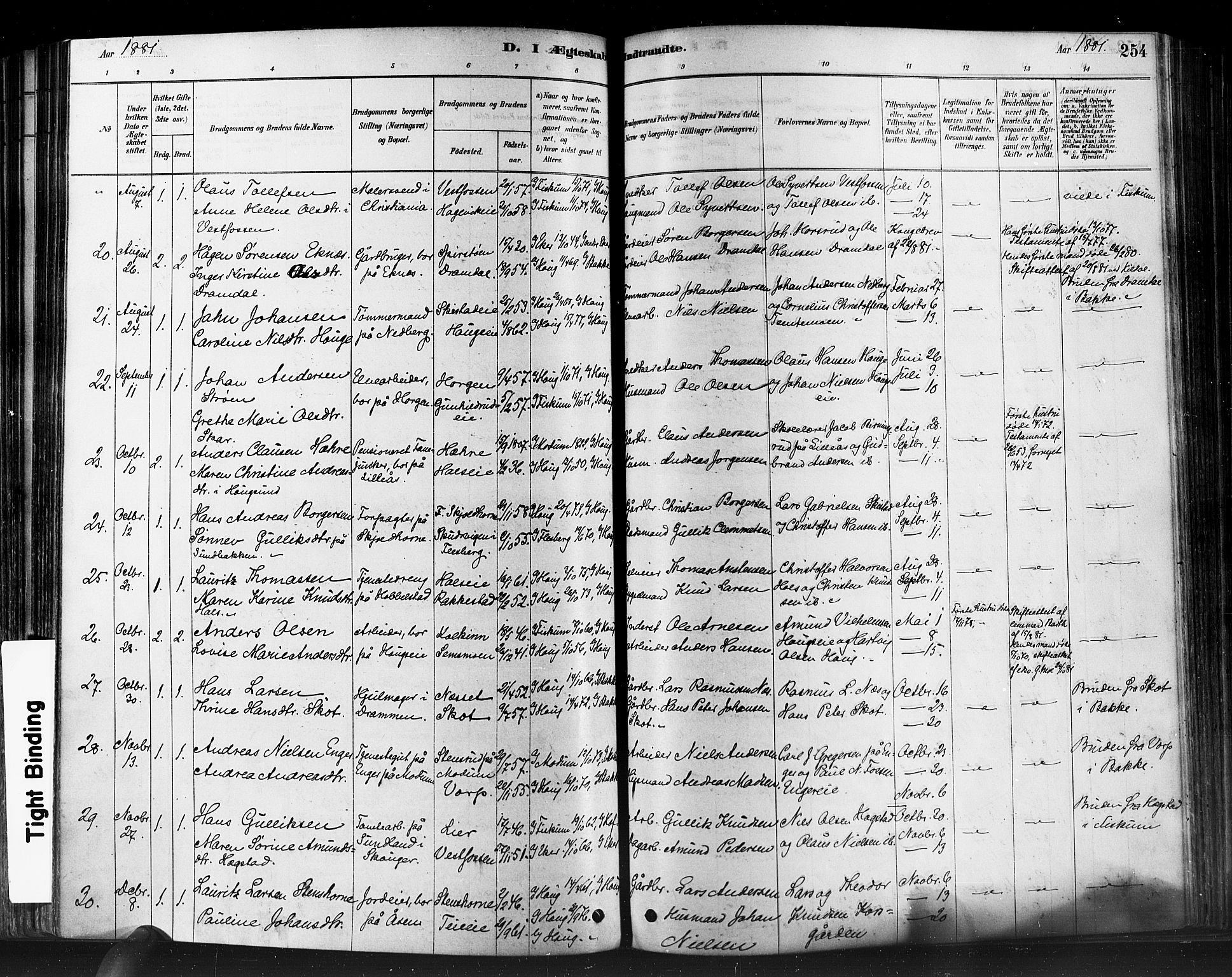 Eiker kirkebøker, AV/SAKO-A-4/F/Fb/L0001: Parish register (official) no. II 1, 1878-1888, p. 254