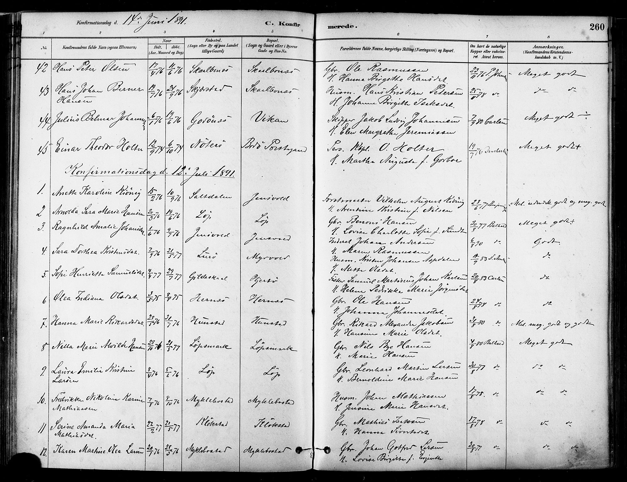 Ministerialprotokoller, klokkerbøker og fødselsregistre - Nordland, AV/SAT-A-1459/802/L0054: Parish register (official) no. 802A01, 1879-1893, p. 260