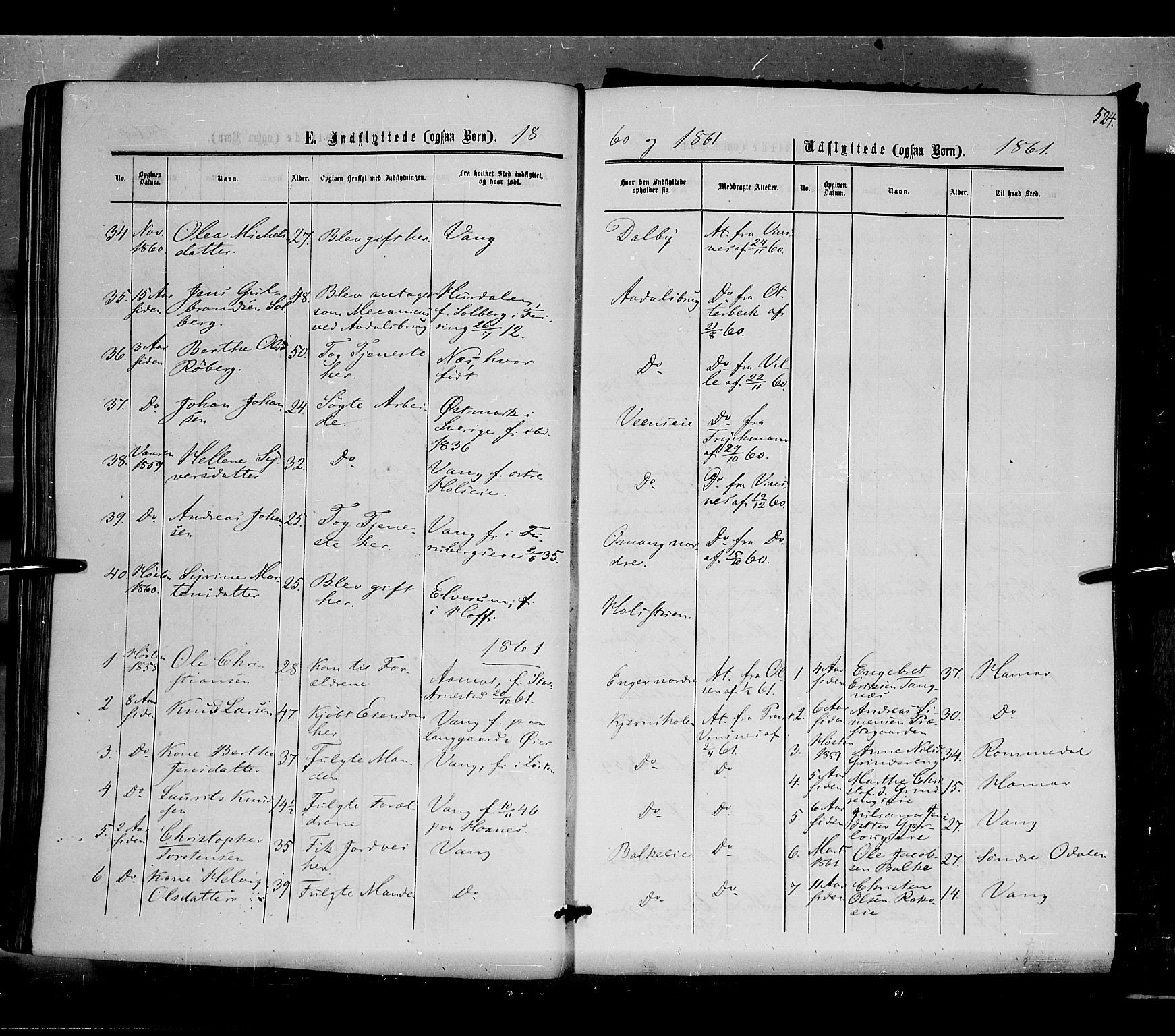 Løten prestekontor, AV/SAH-PREST-022/K/Ka/L0008: Parish register (official) no. 8, 1860-1877, p. 524