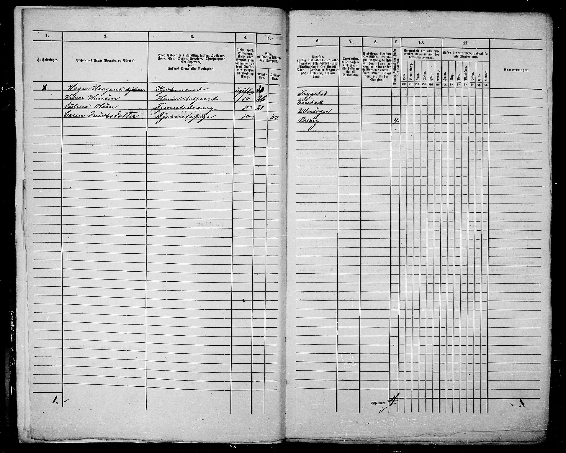 RA, 1865 census for Kristiania, 1865, p. 1125