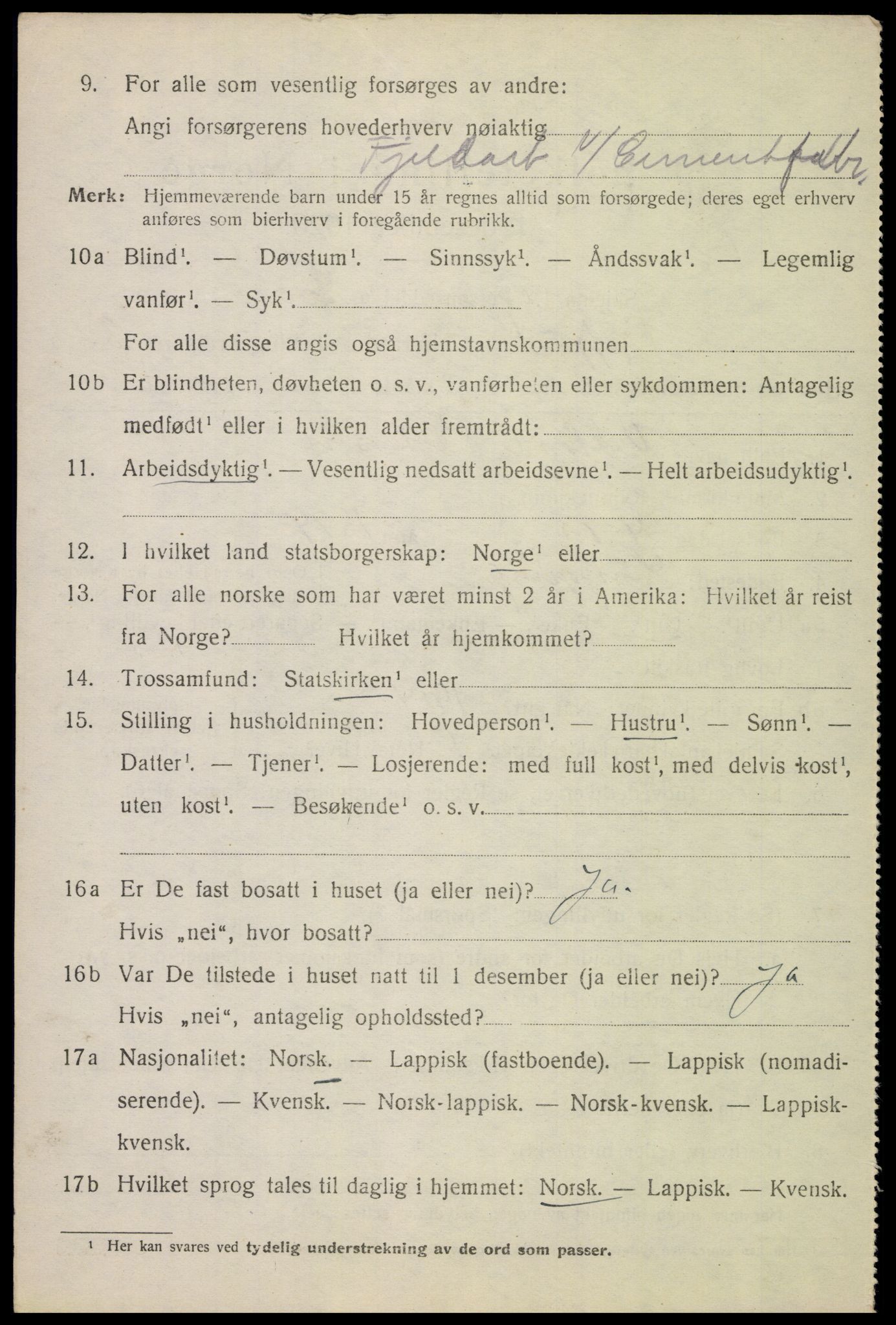 SAT, 1920 census for Tysfjord, 1920, p. 3164