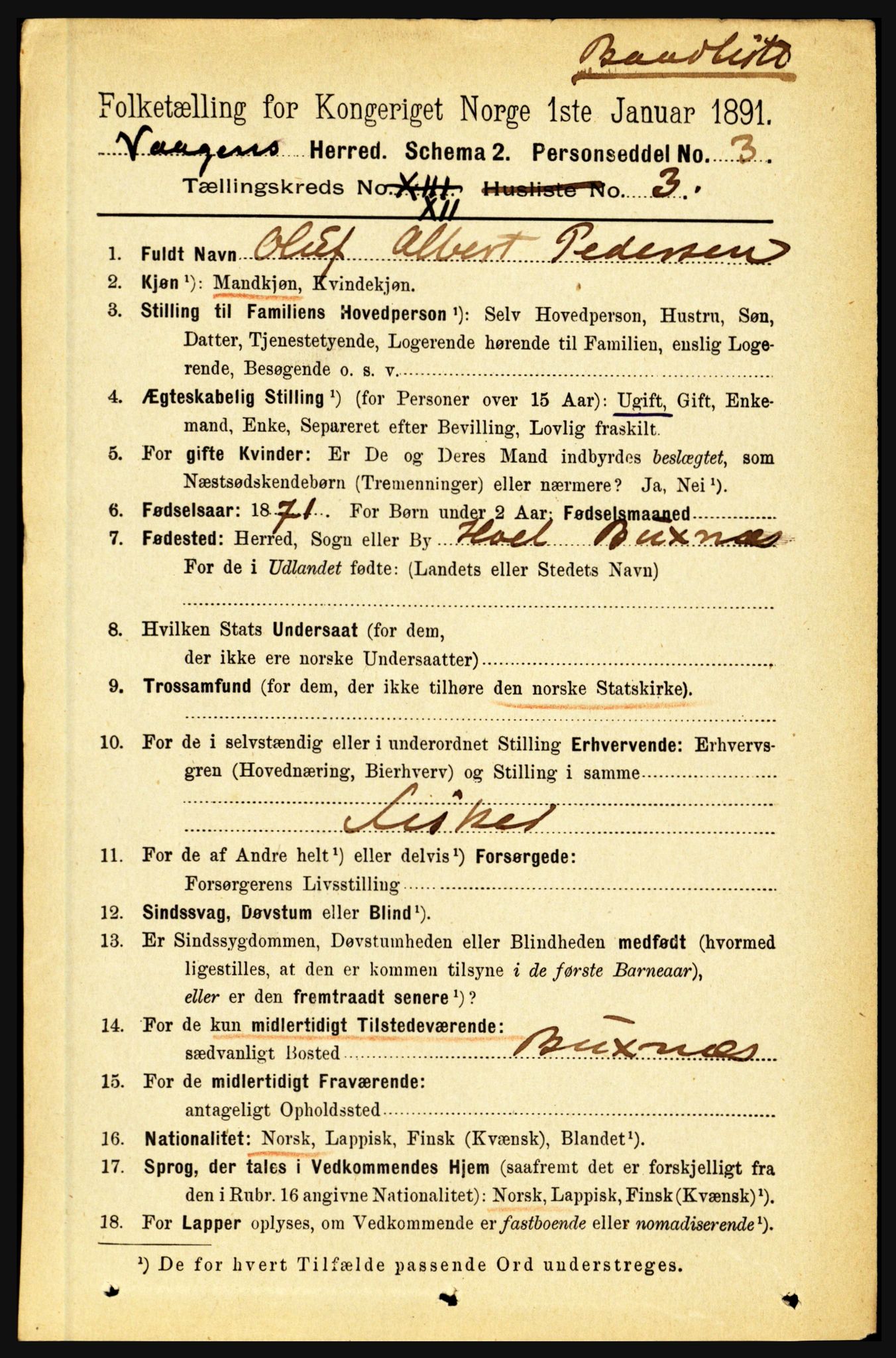 RA, 1891 census for 1865 Vågan, 1891, p. 3263