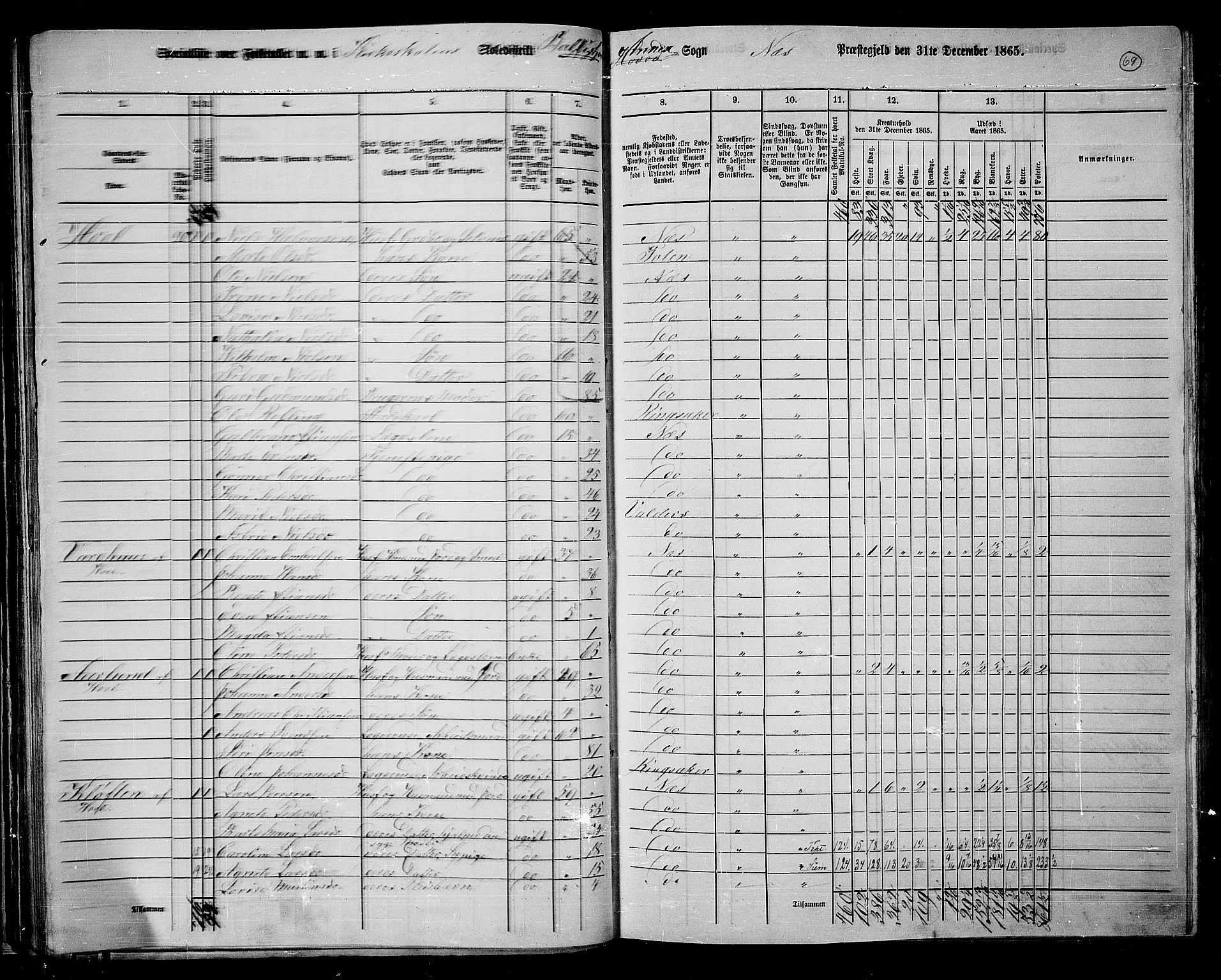 RA, 1865 census for Nes, 1865, p. 62