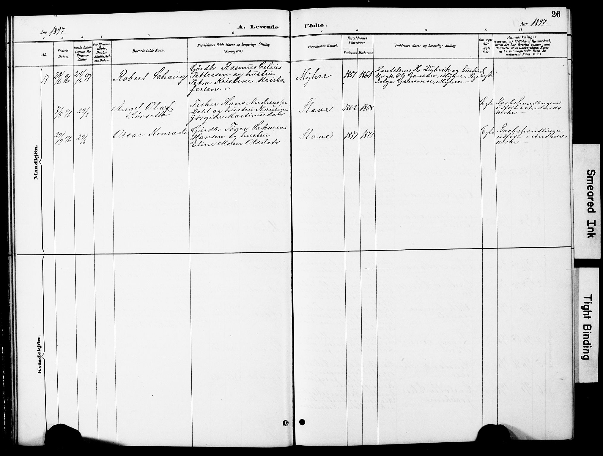 Ministerialprotokoller, klokkerbøker og fødselsregistre - Nordland, AV/SAT-A-1459/897/L1413: Parish register (copy) no. 897C03, 1887-1903, p. 26