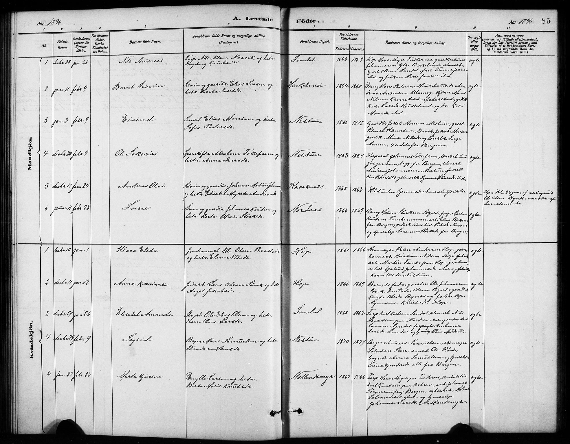 Birkeland Sokneprestembete, SAB/A-74601/H/Hab: Parish register (copy) no. A 4, 1888-1897, p. 85