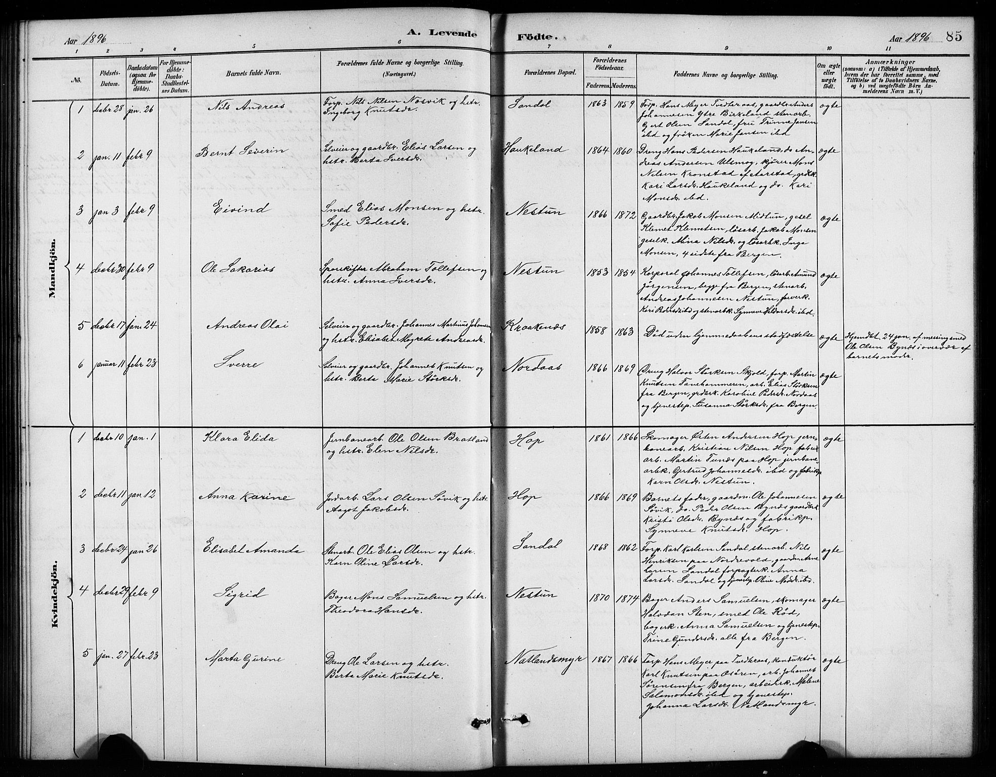 Birkeland Sokneprestembete, AV/SAB-A-74601/H/Hab: Parish register (copy) no. A 4, 1888-1897, p. 85