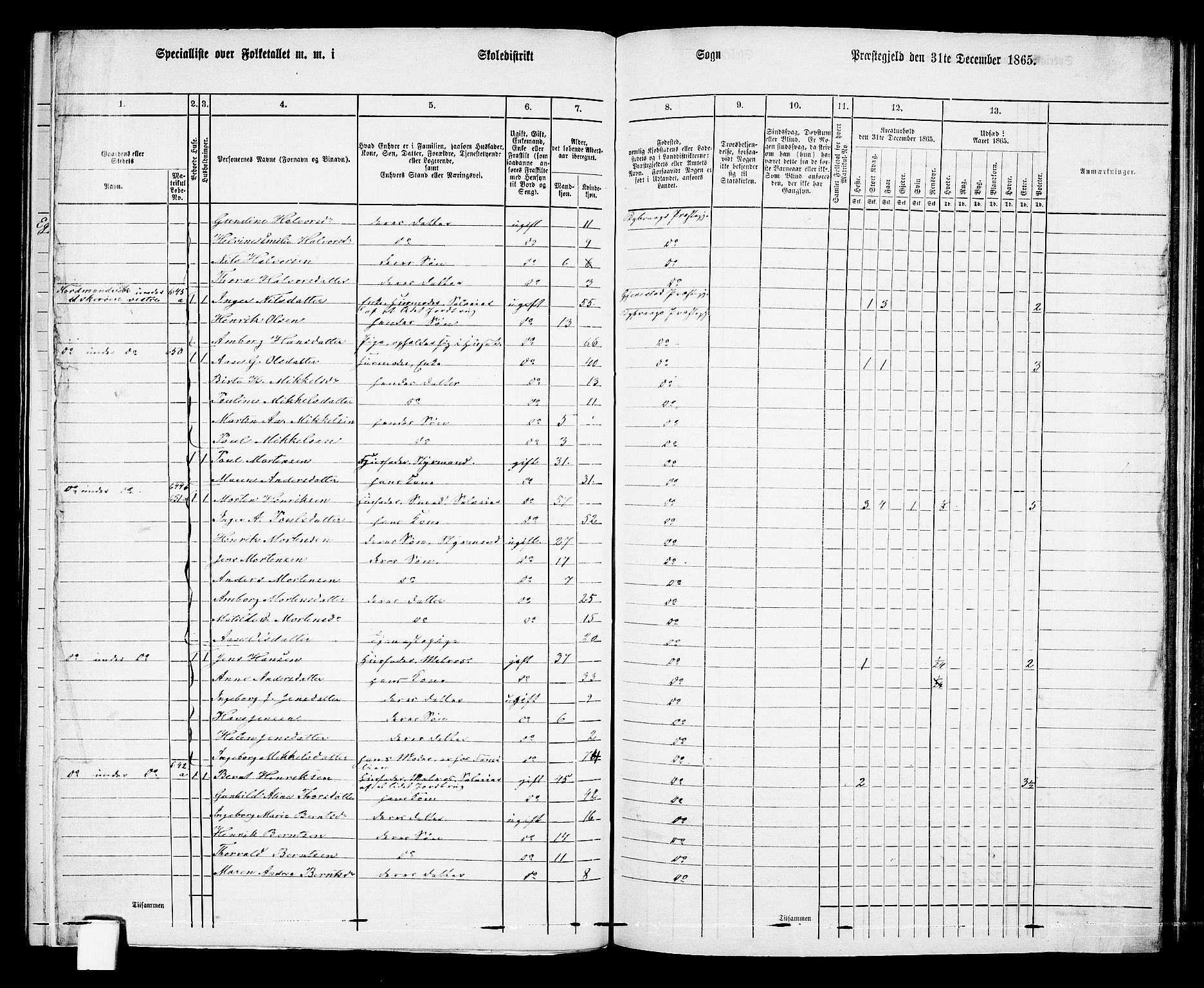 RA, 1865 census for Dypvåg, 1865, p. 97