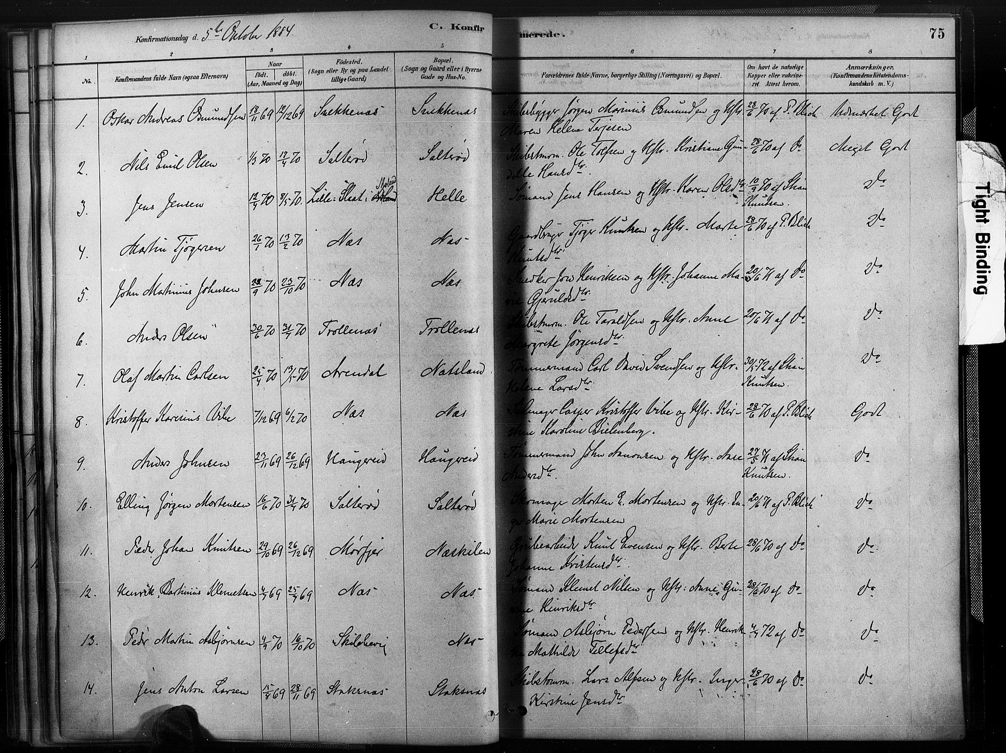 Austre Moland sokneprestkontor, SAK/1111-0001/F/Fa/Fab/L0001: Parish register (official) no. A 1, 1878-1898, p. 75
