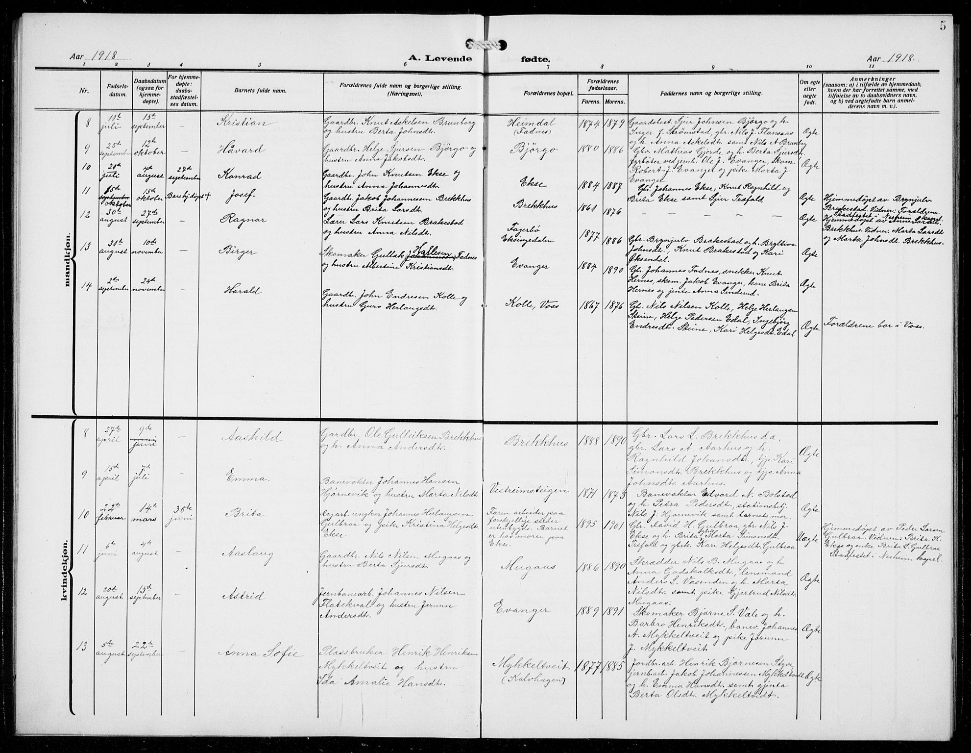Evanger sokneprestembete, SAB/A-99924: Parish register (copy) no. A 6, 1918-1941, p. 5