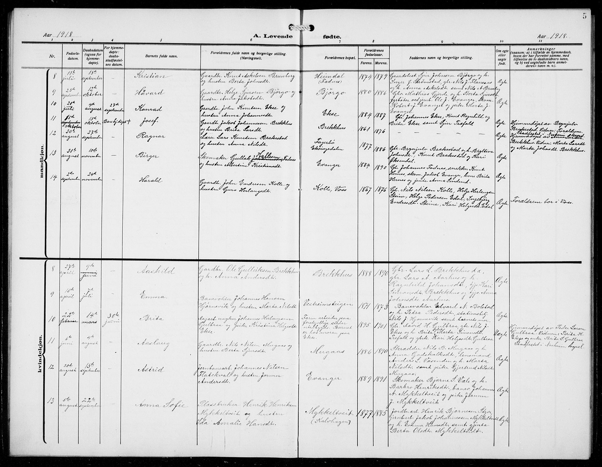 Evanger sokneprestembete, AV/SAB-A-99924: Parish register (copy) no. A 6, 1918-1941, p. 5