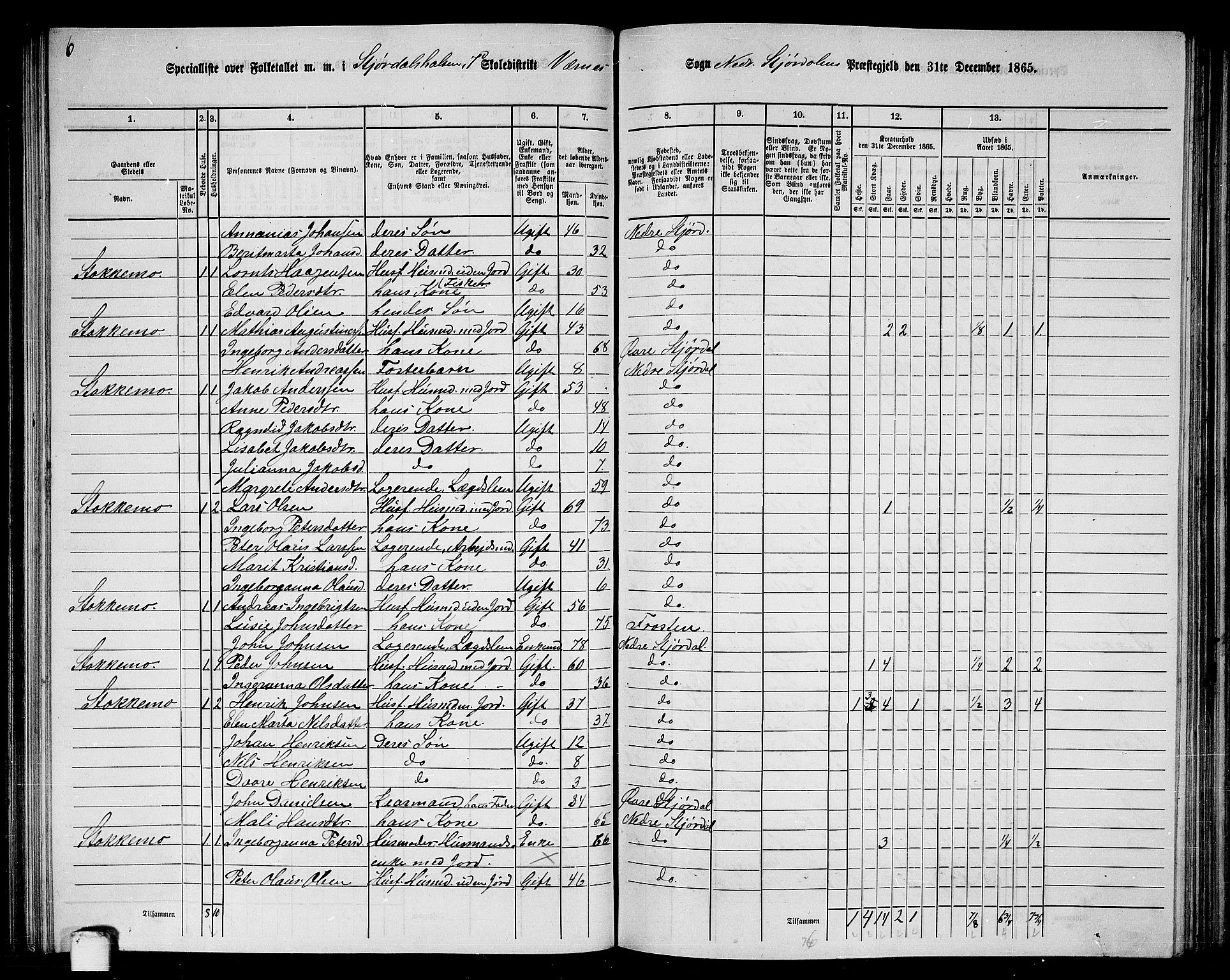 RA, 1865 census for Nedre Stjørdal, 1865, p. 144