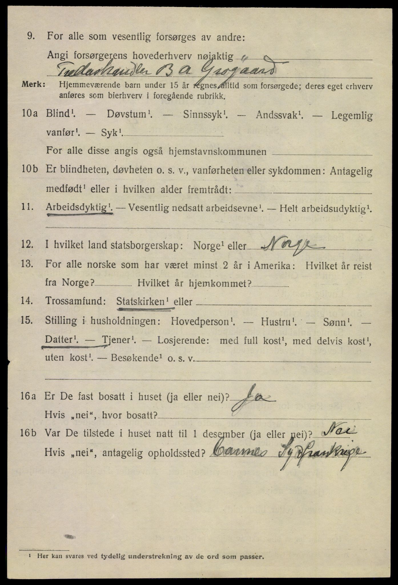 SAKO, 1920 census for Kragerø, 1920, p. 4396