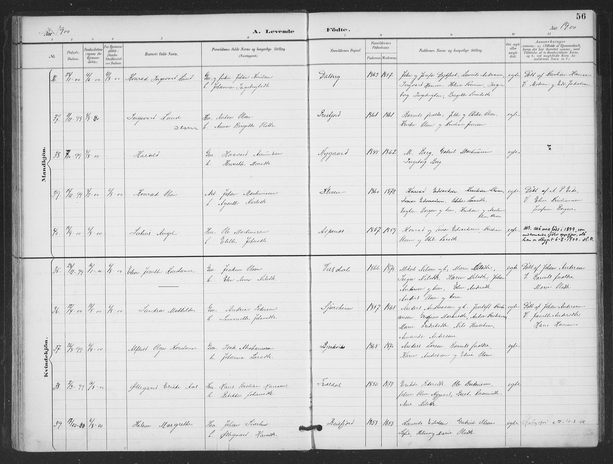 Ministerialprotokoller, klokkerbøker og fødselsregistre - Nordland, AV/SAT-A-1459/866/L0939: Parish register (official) no. 866A02, 1894-1906, p. 56