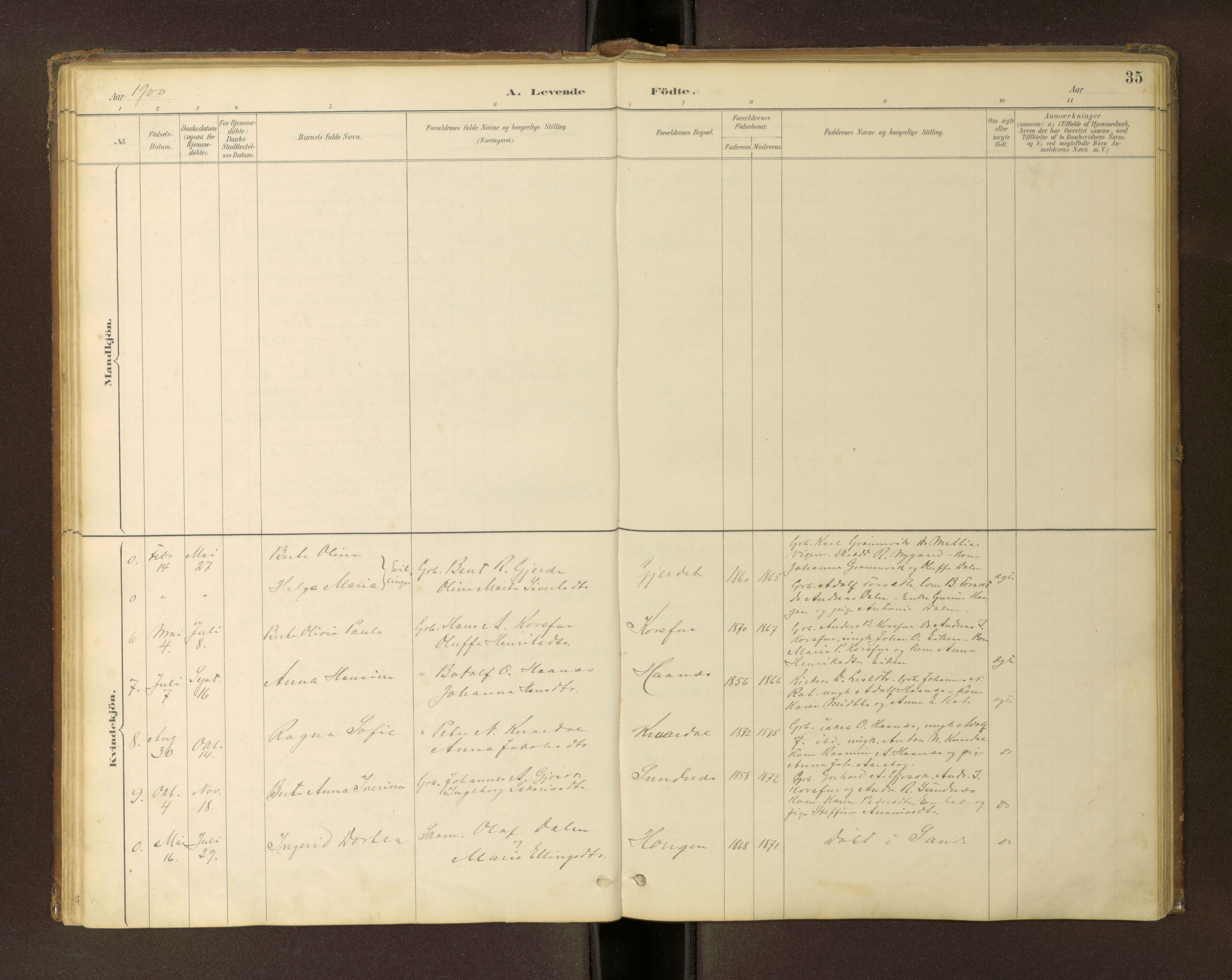 Ministerialprotokoller, klokkerbøker og fødselsregistre - Møre og Romsdal, AV/SAT-A-1454/504/L0060: Parish register (copy) no. 504C02, 1884-1903, p. 35