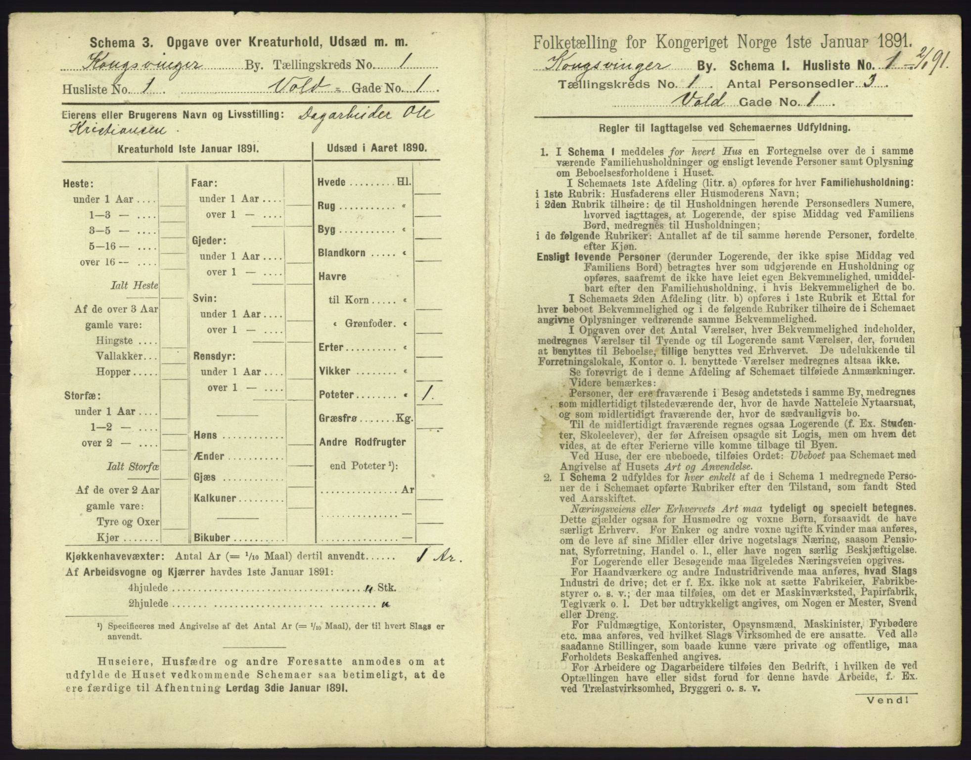 RA, 1891 census for 0402 Kongsvinger, 1891, p. 19