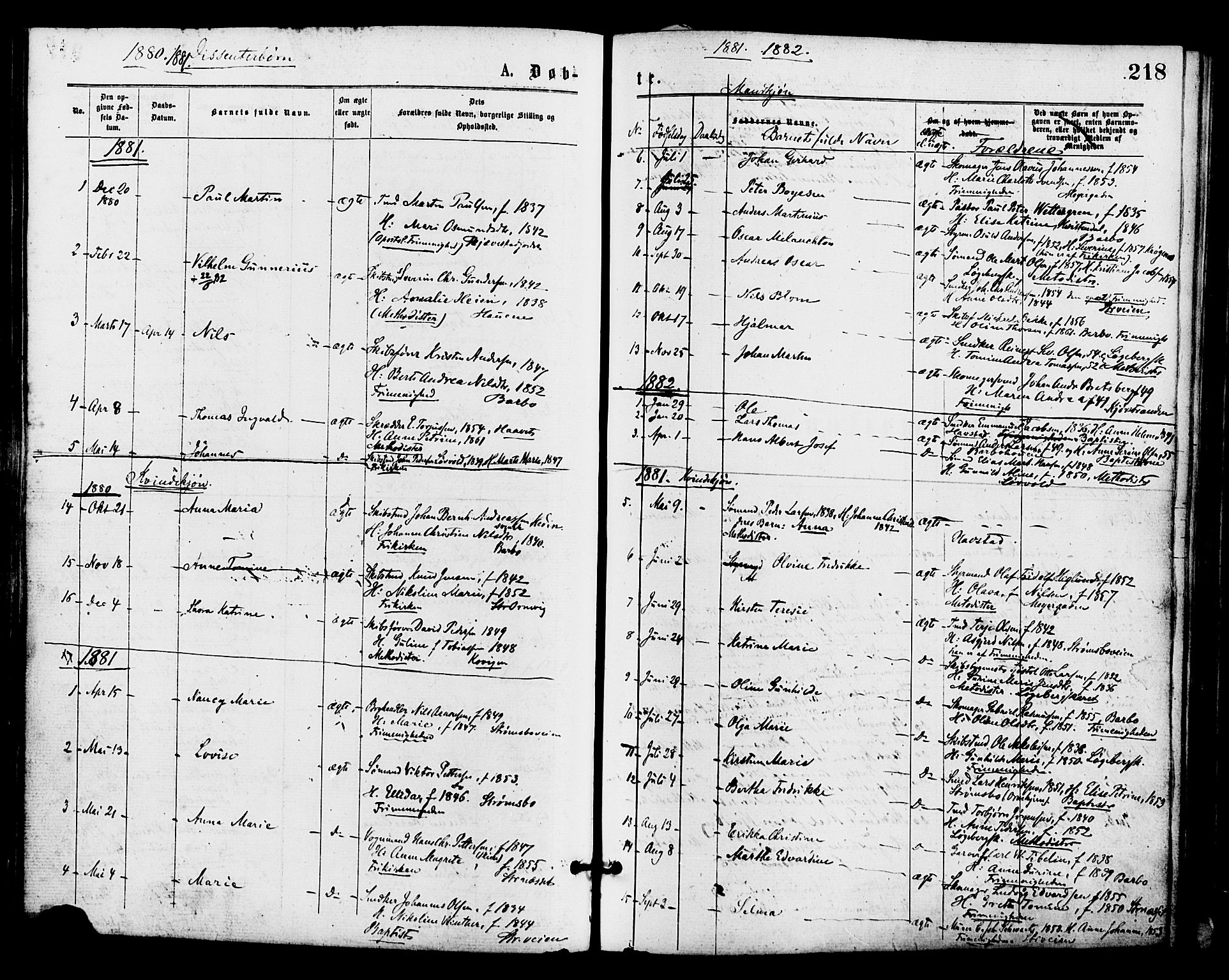 Barbu sokneprestkontor, AV/SAK-1111-0003/F/Fa/L0001: Parish register (official) no. A 1 /1, 1878-1883, p. 218