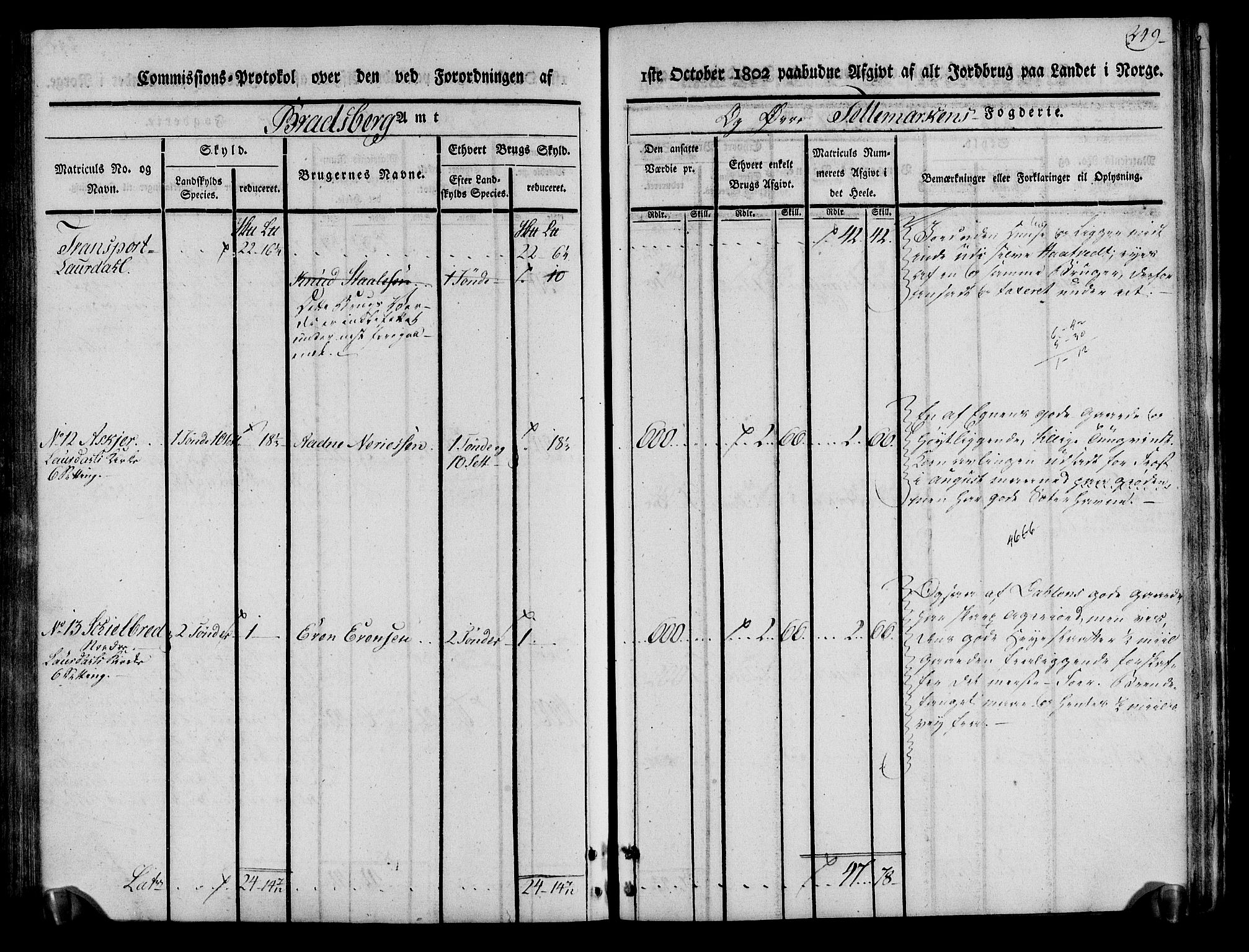 Rentekammeret inntil 1814, Realistisk ordnet avdeling, RA/EA-4070/N/Ne/Nea/L0075: Øvre Telemarken fogderi. Kommisjonsprotokoll for fogderiets vestre del - Kviteseid, Vinje, Moland [):Fyresdal] og Lårdal prestegjeld., 1803, p. 251