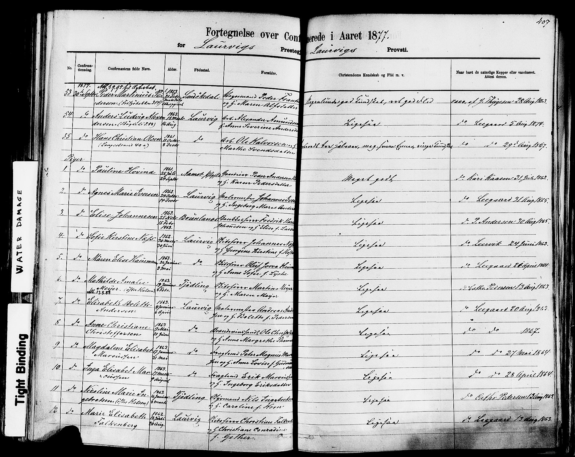 Larvik kirkebøker, AV/SAKO-A-352/F/Fa/L0006: Parish register (official) no. I 6, 1871-1883, p. 407