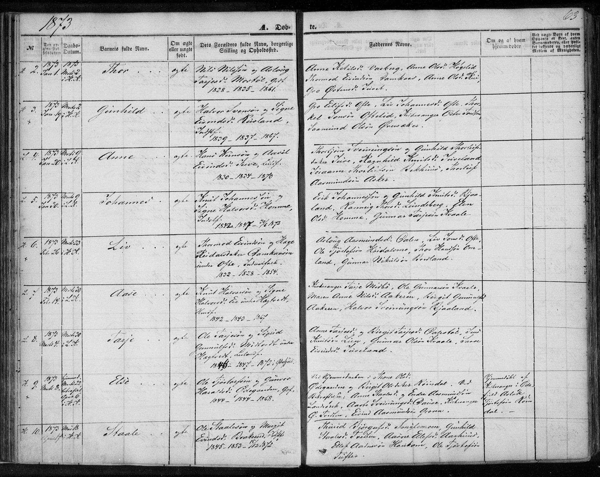 Lårdal kirkebøker, SAKO/A-284/F/Fa/L0006: Parish register (official) no. I 6, 1861-1886, p. 63