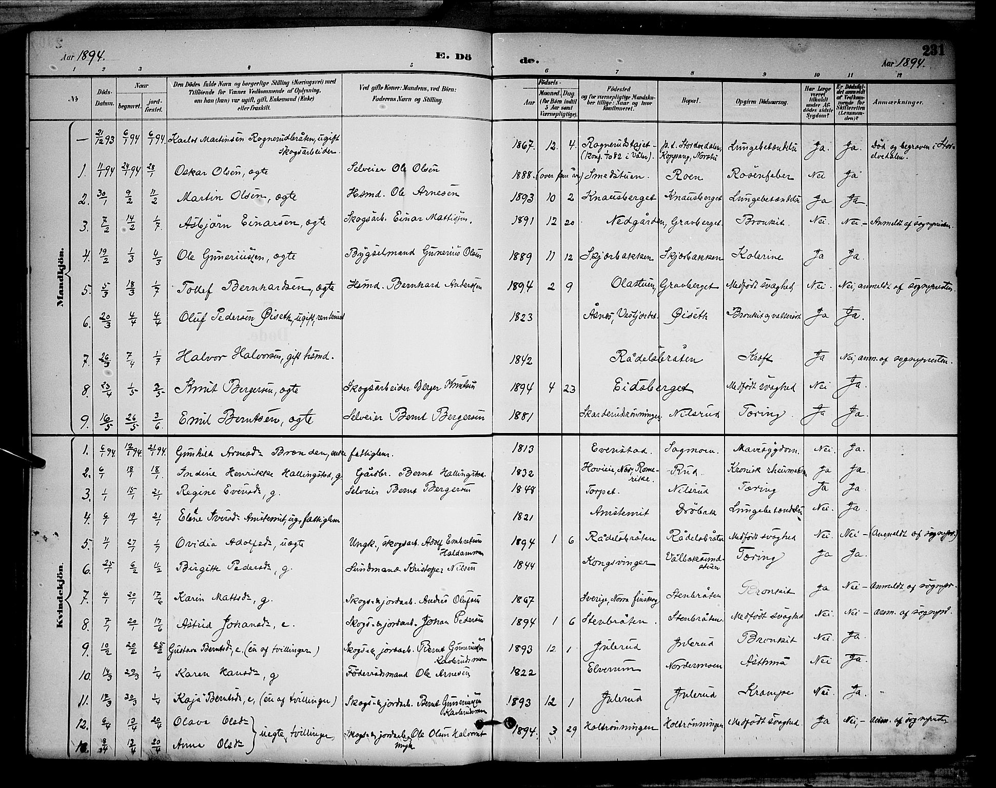 Våler prestekontor, Hedmark, SAH/PREST-040/H/Ha/Hab/L0001: Parish register (copy) no. 1, 1894-1904, p. 231