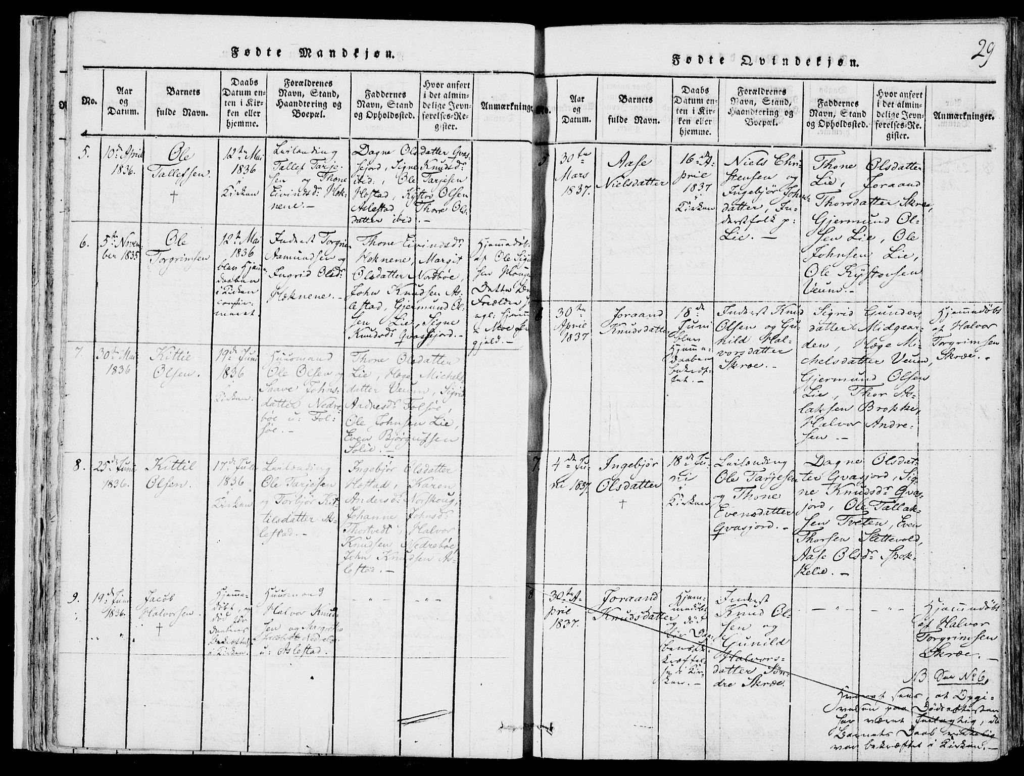 Fyresdal kirkebøker, SAKO/A-263/F/Fb/L0001: Parish register (official) no. II 1, 1815-1854, p. 29