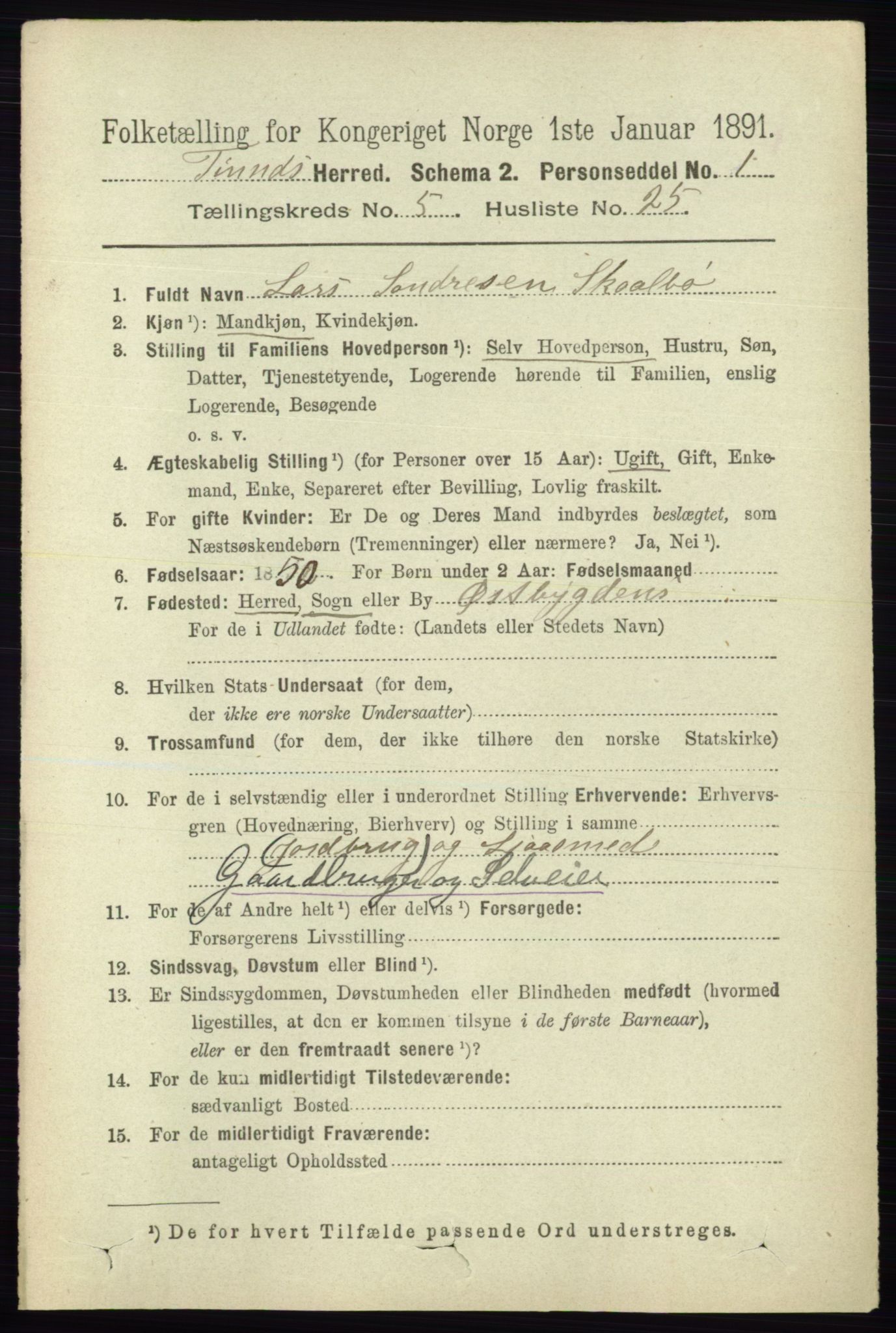 RA, 1891 census for 0826 Tinn, 1891, p. 1155