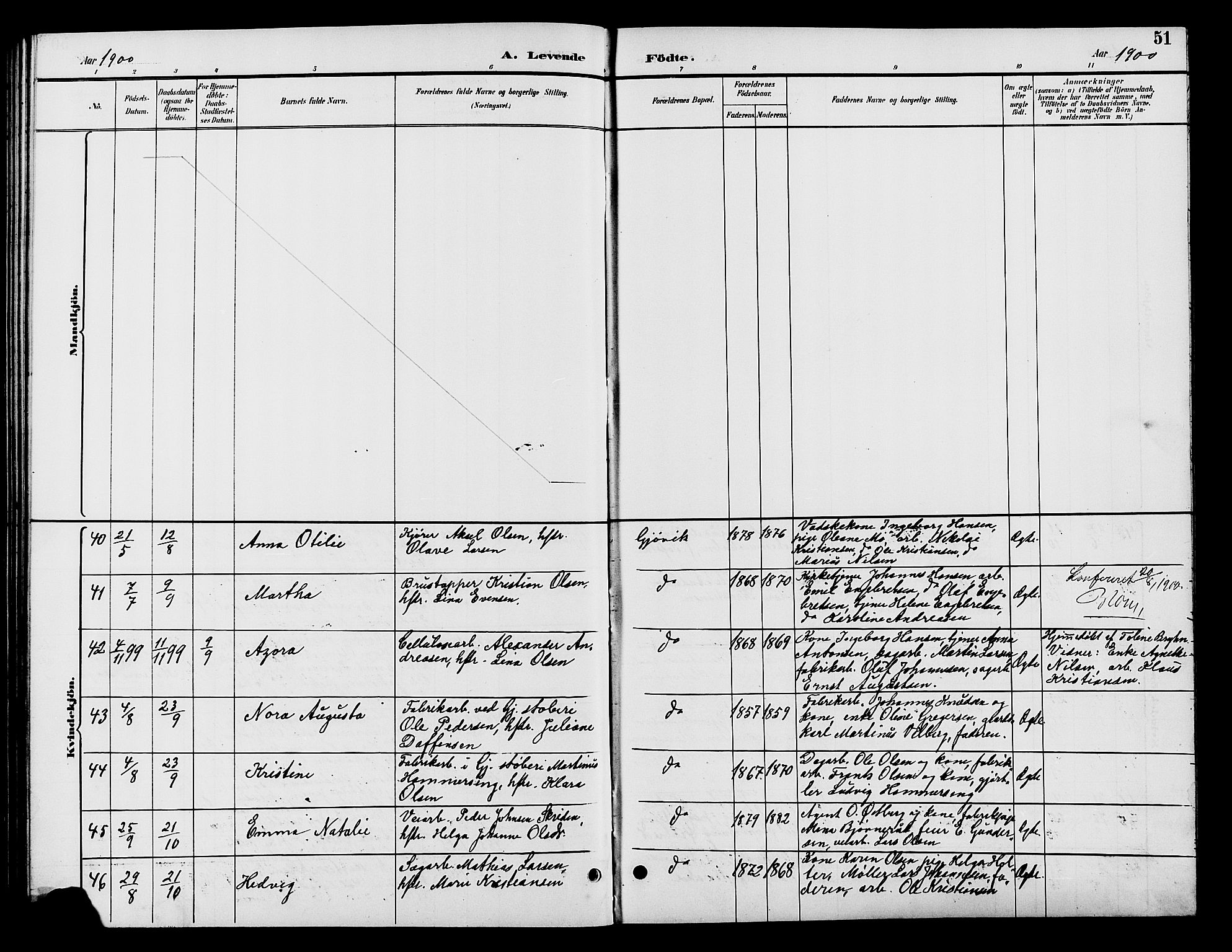 Vardal prestekontor, AV/SAH-PREST-100/H/Ha/Hab/L0009: Parish register (copy) no. 9, 1894-1902, p. 51