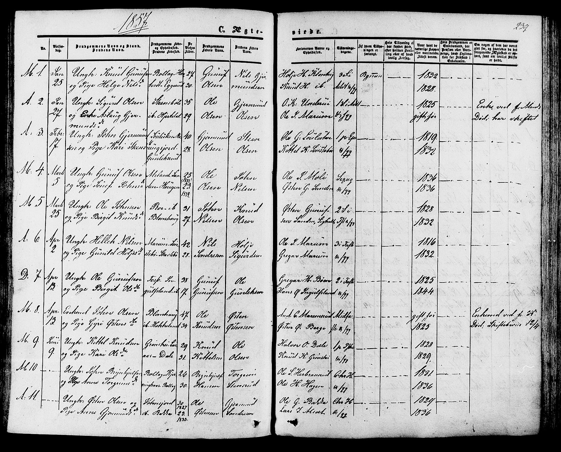 SAKO, Tinn kirkebøker, SAKO/A-308/F/Fa/L0006Parish register (official) no. I 6, 1857-1878, p. 239